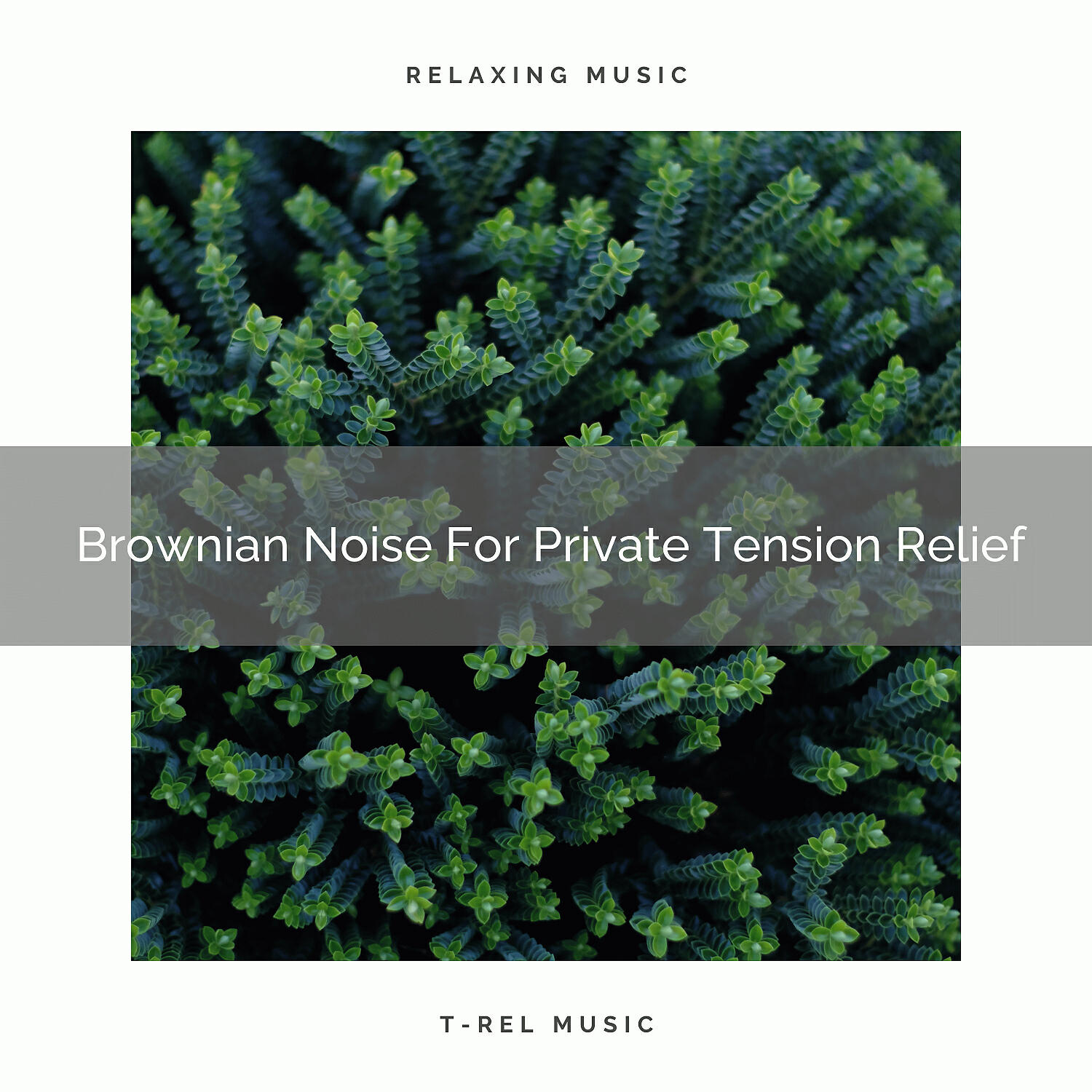 Релиз Brownian Noise For Private Tension Relief
