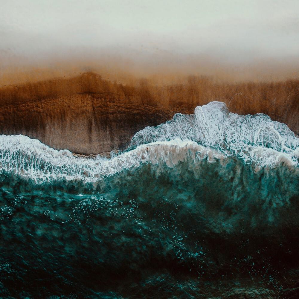 Релиз Free Ocean