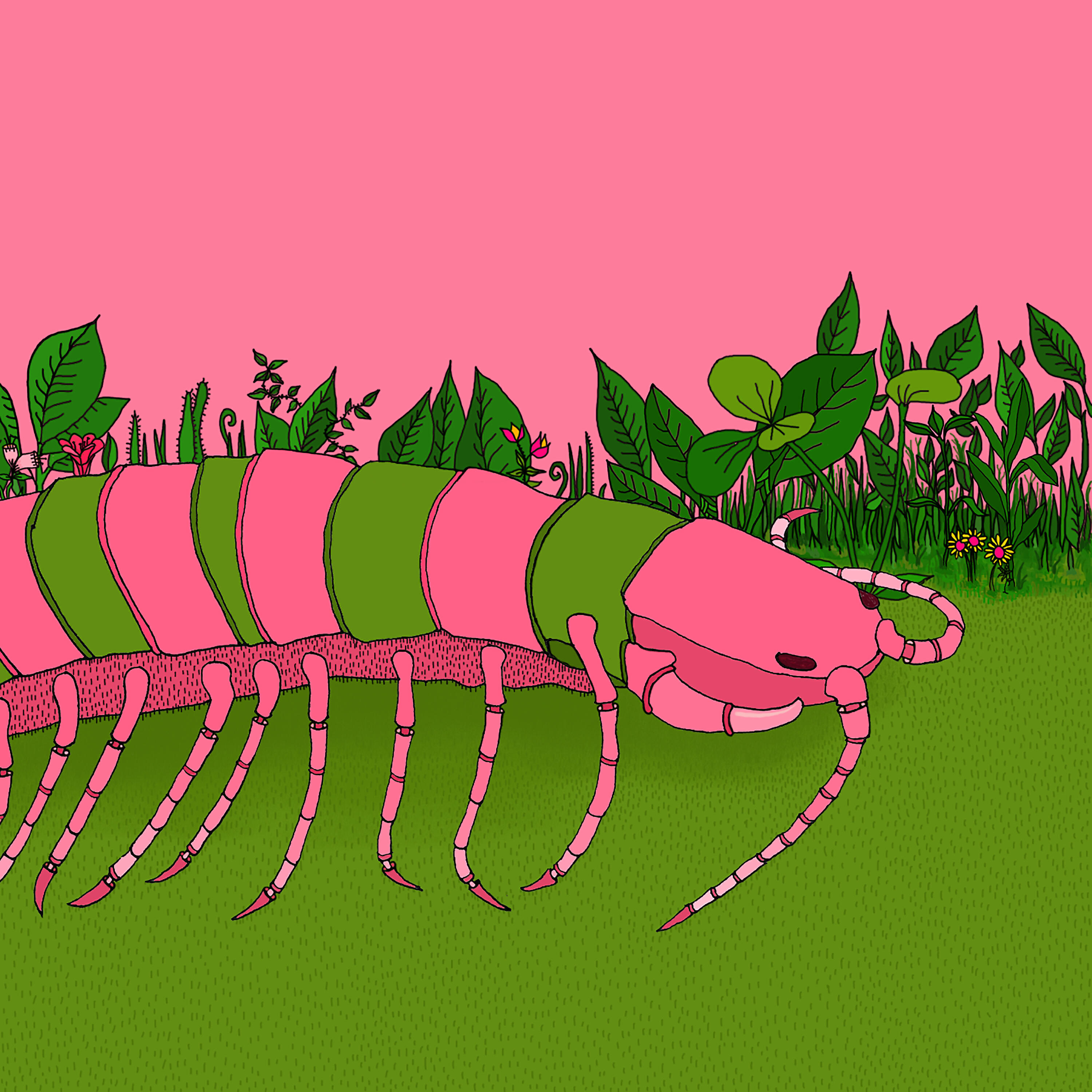 Релиз Caminantes