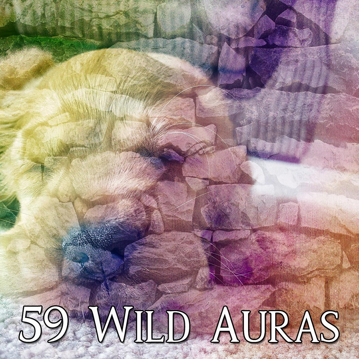 Релиз 59 Wild Auras