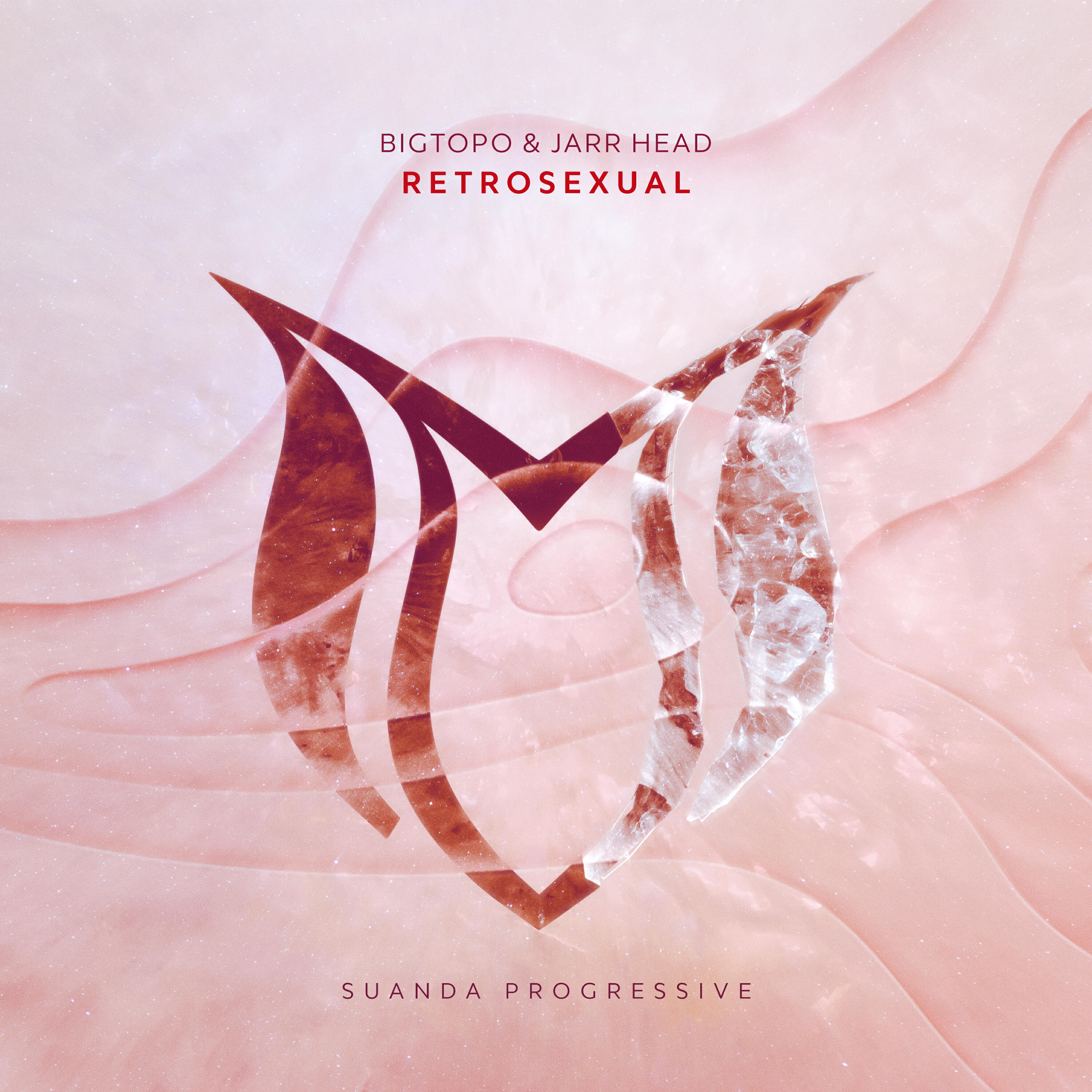 Релиз Retrosexual