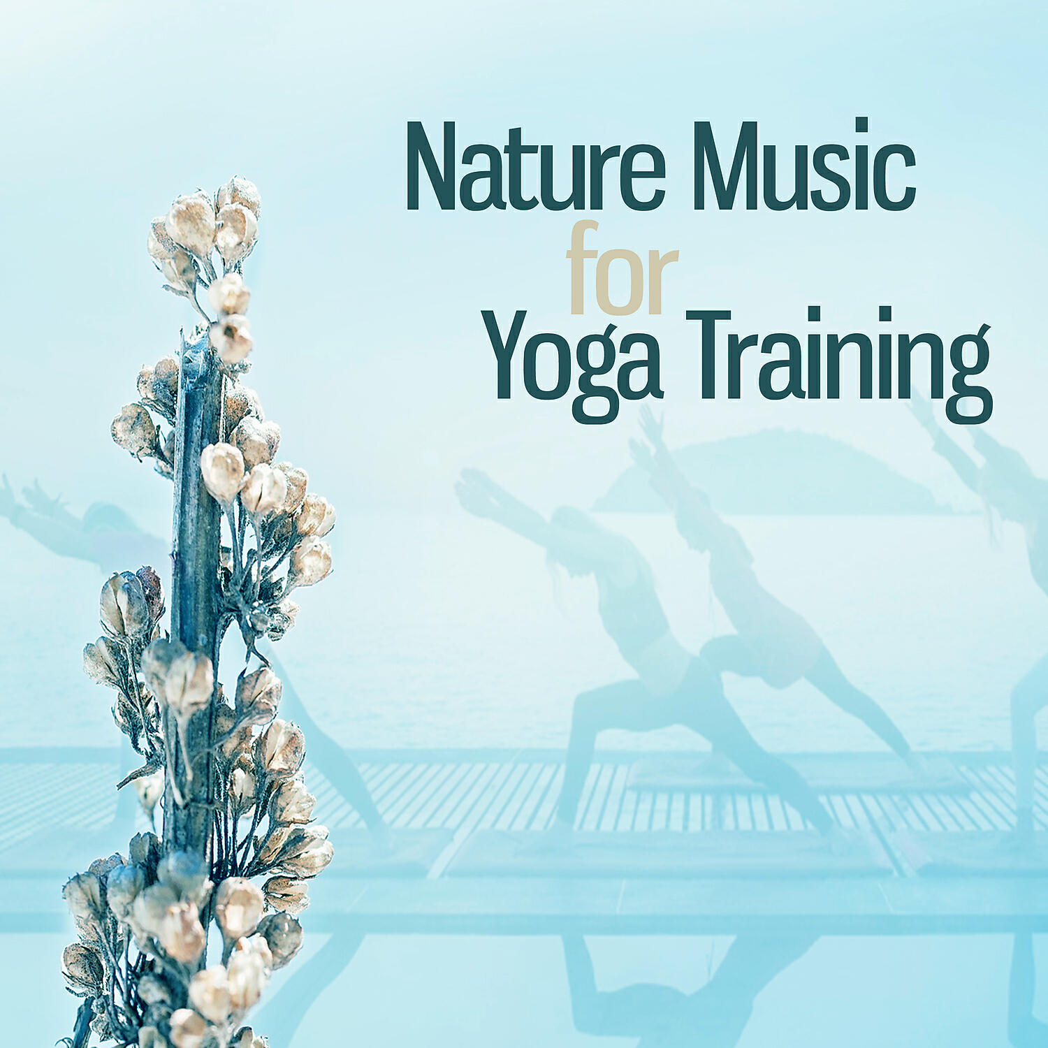 Релиз Nature Music for Yoga Training – Calm Sounds, Meditation Sounds, New Age Yoga Music, Spirit Free, Time to Relax