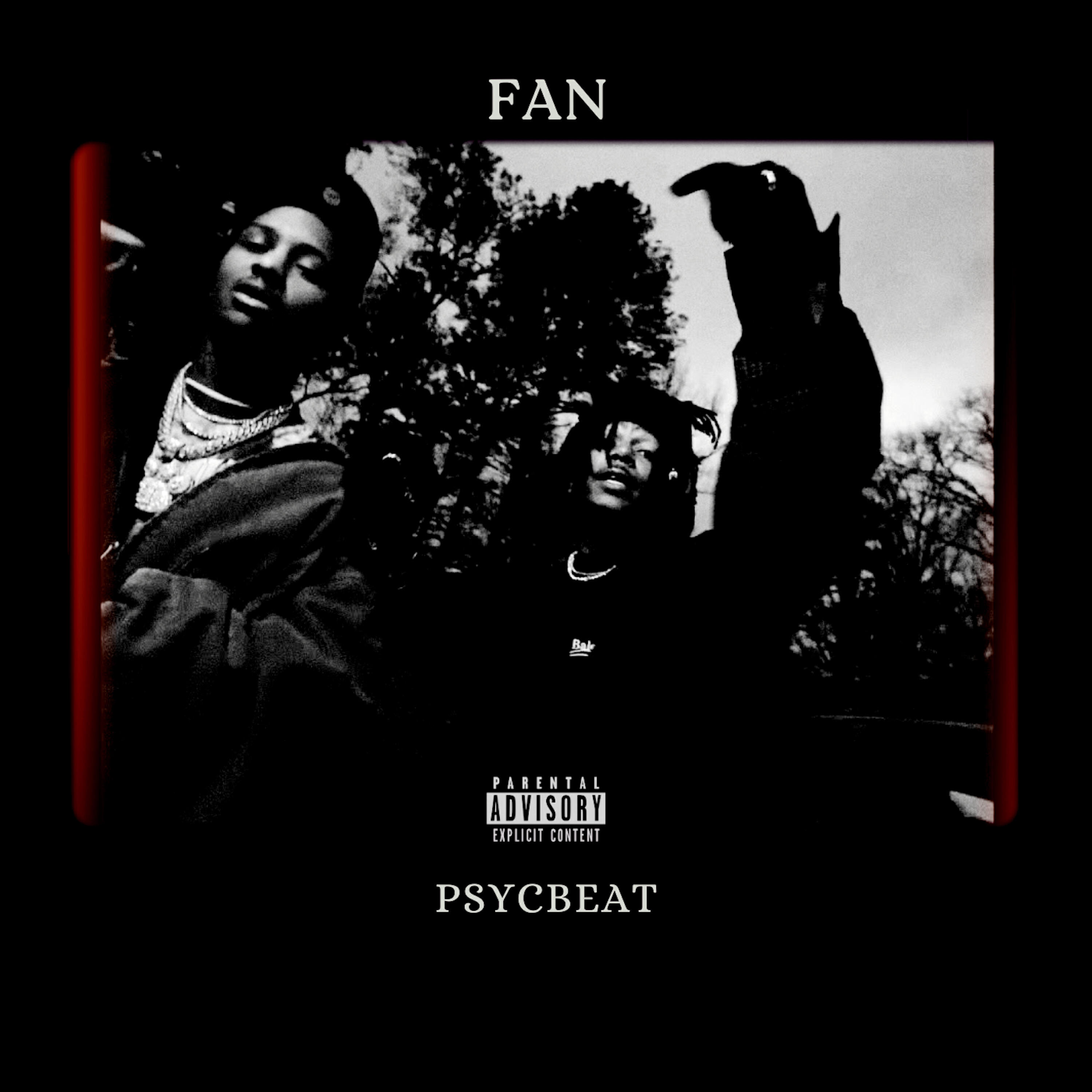 Постер альбома Fan