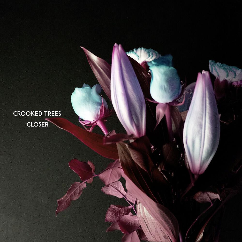 Релиз Closer