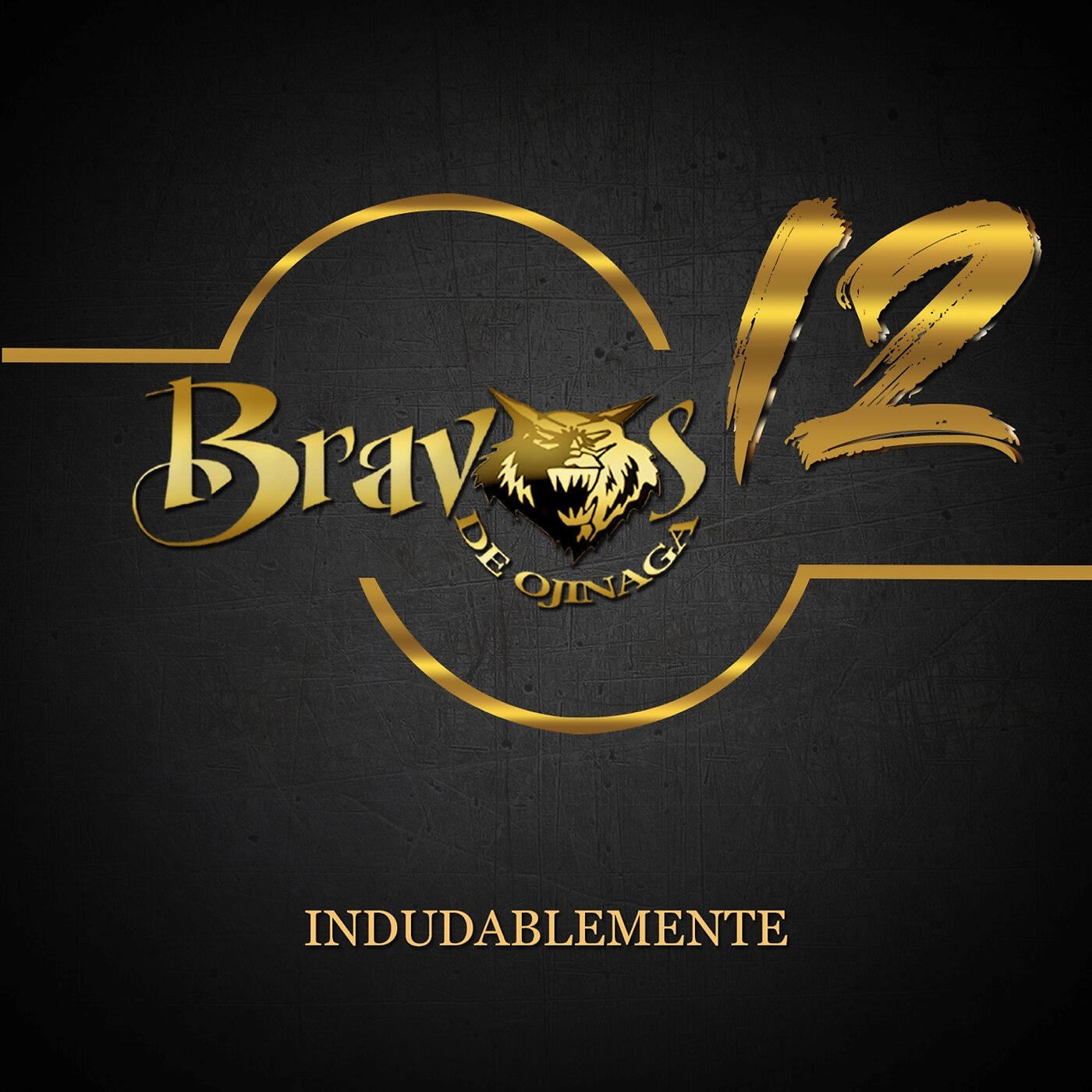 Релиз 12 Indudablemente