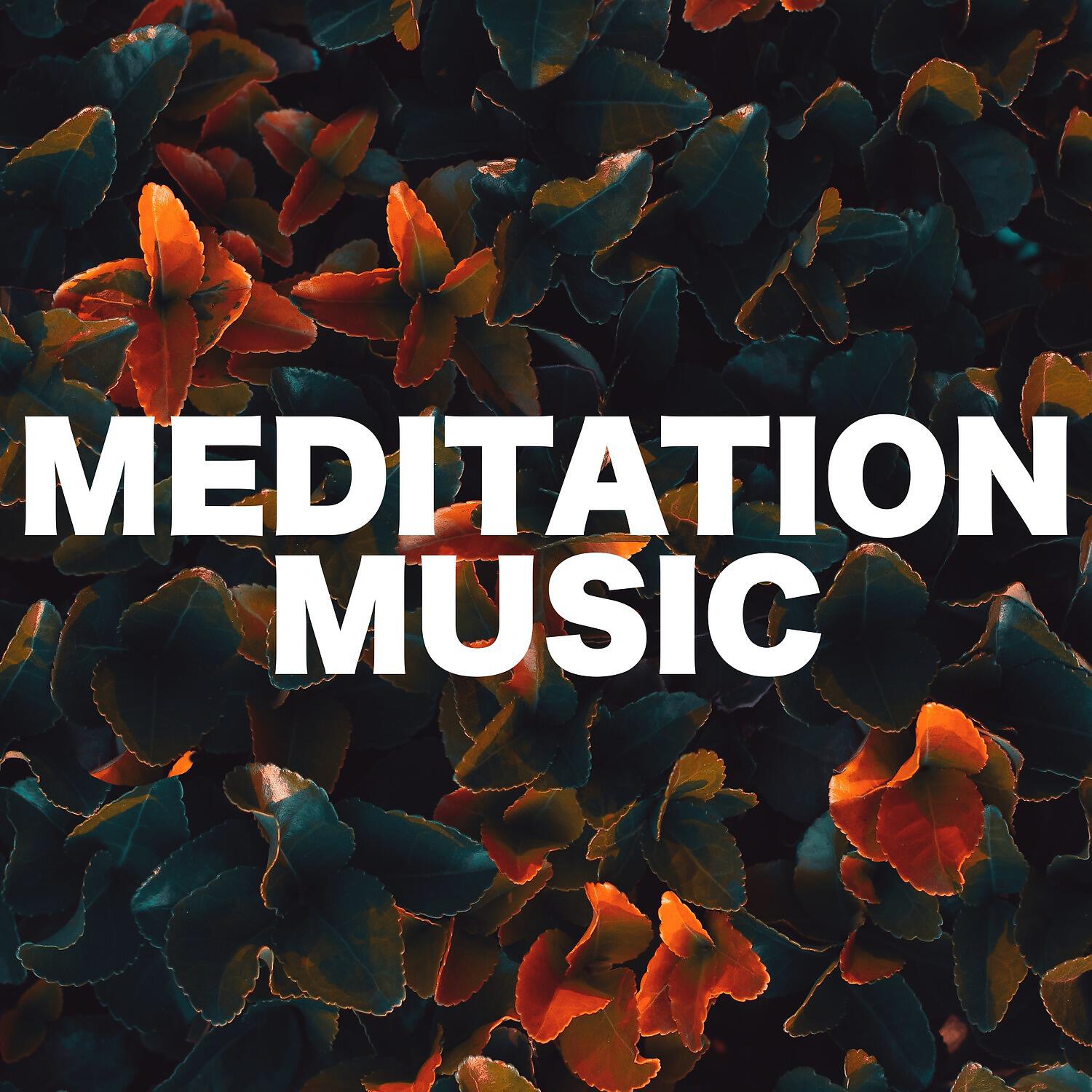Релиз Meditation Music