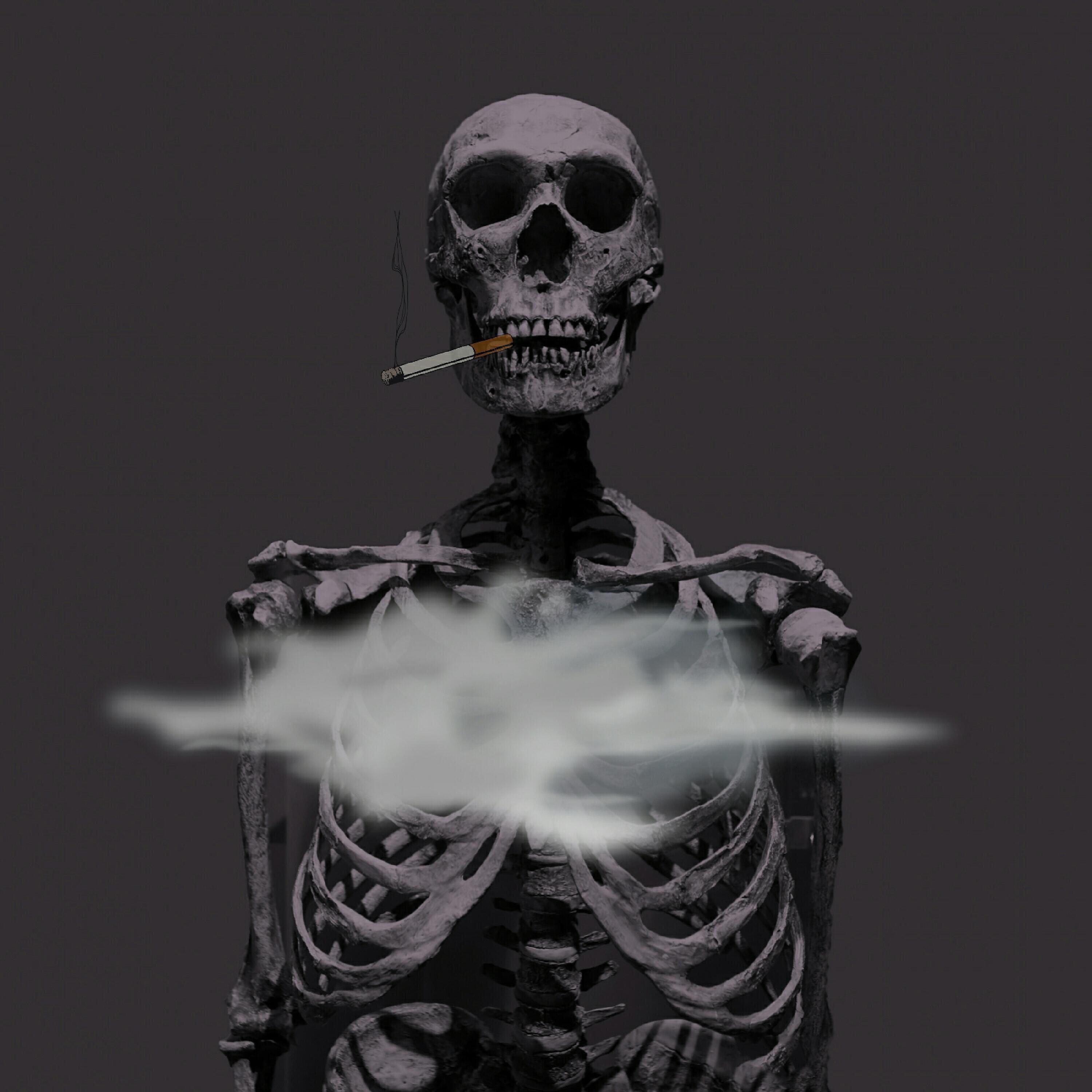 SURAN - Life Experience