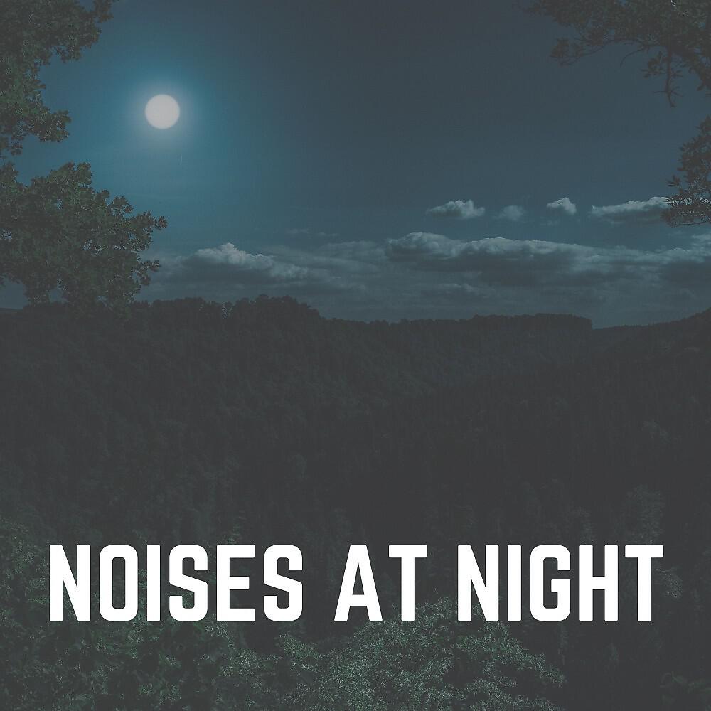 Релиз Noises at Night
