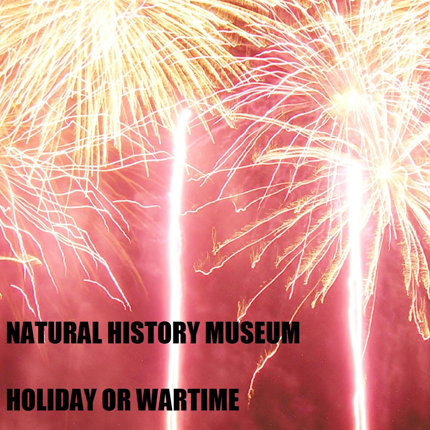 Релиз Holiday or Wartime?