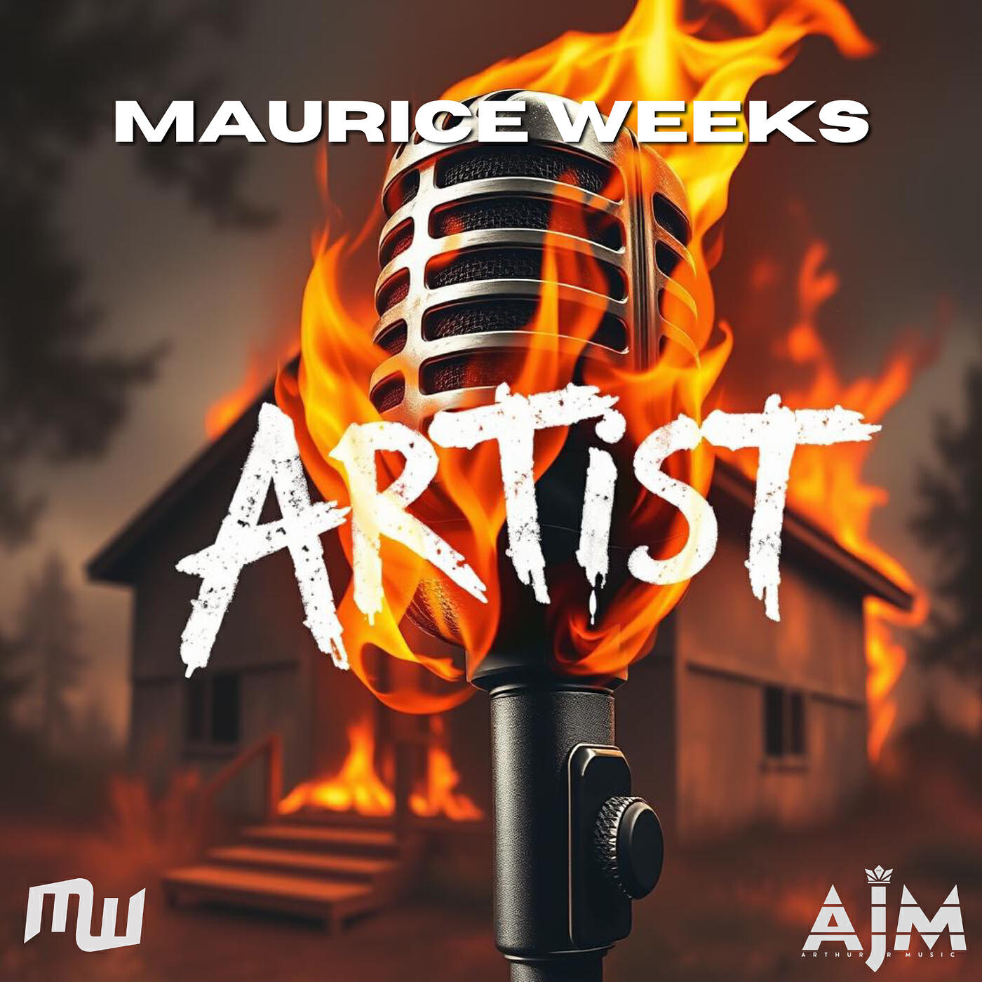 Релиз Artist