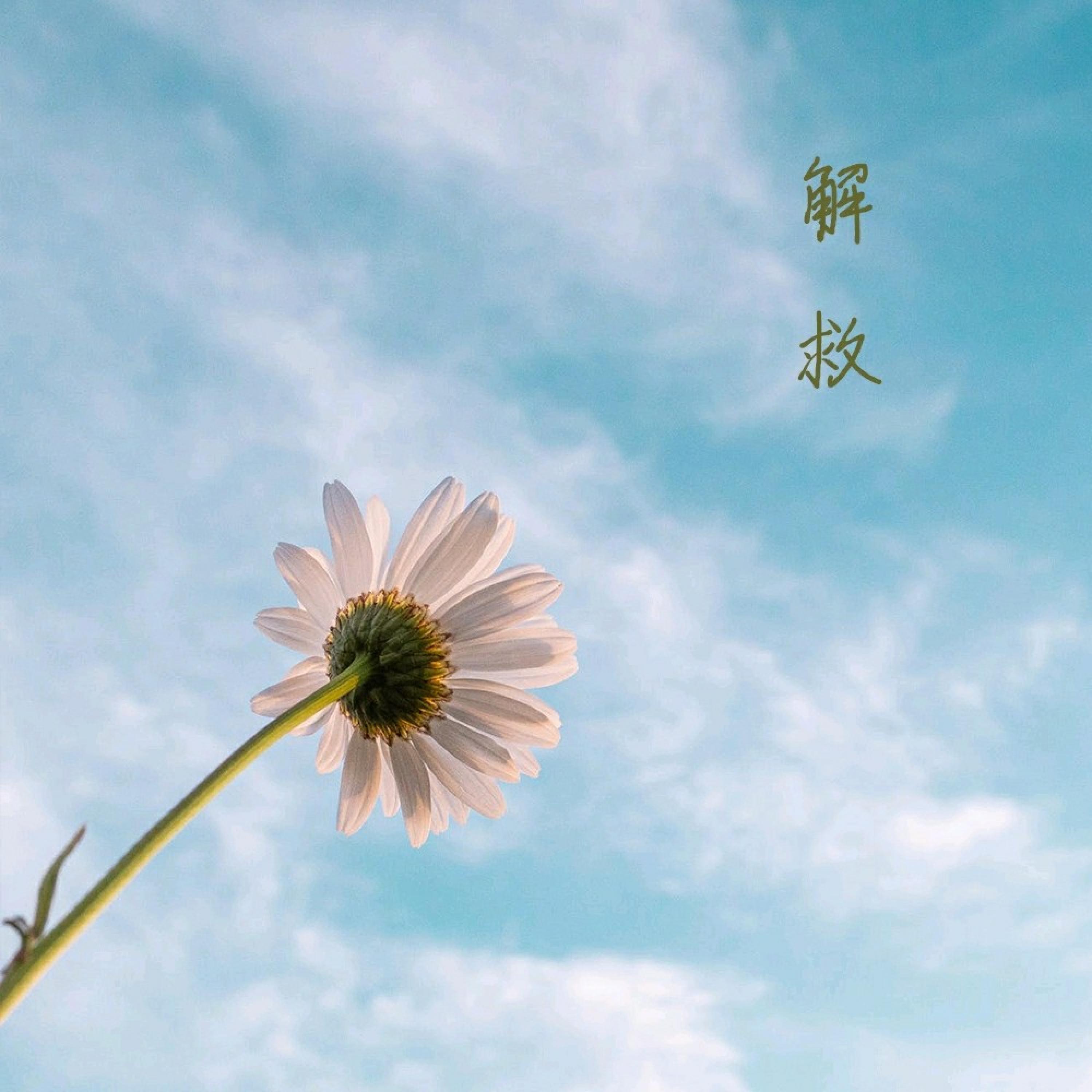 Релиз 解救