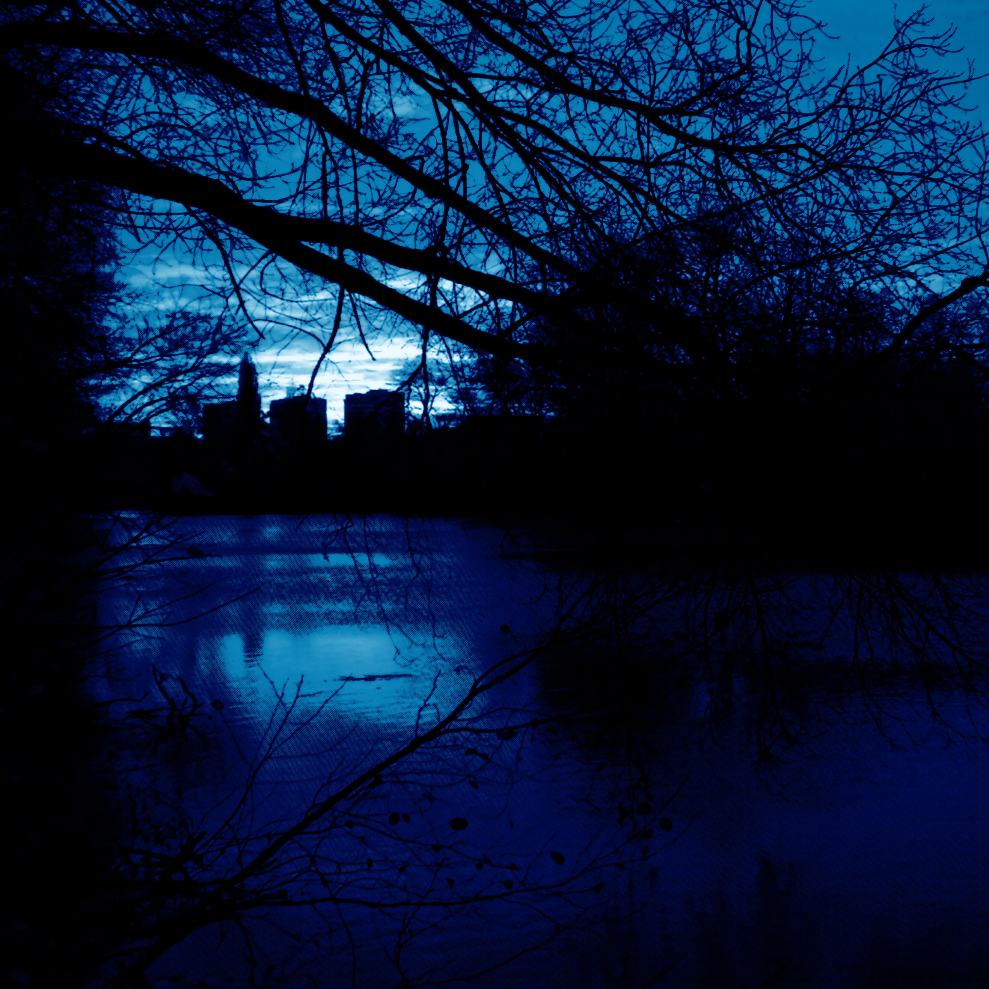 Постер альбома Middle of the Night