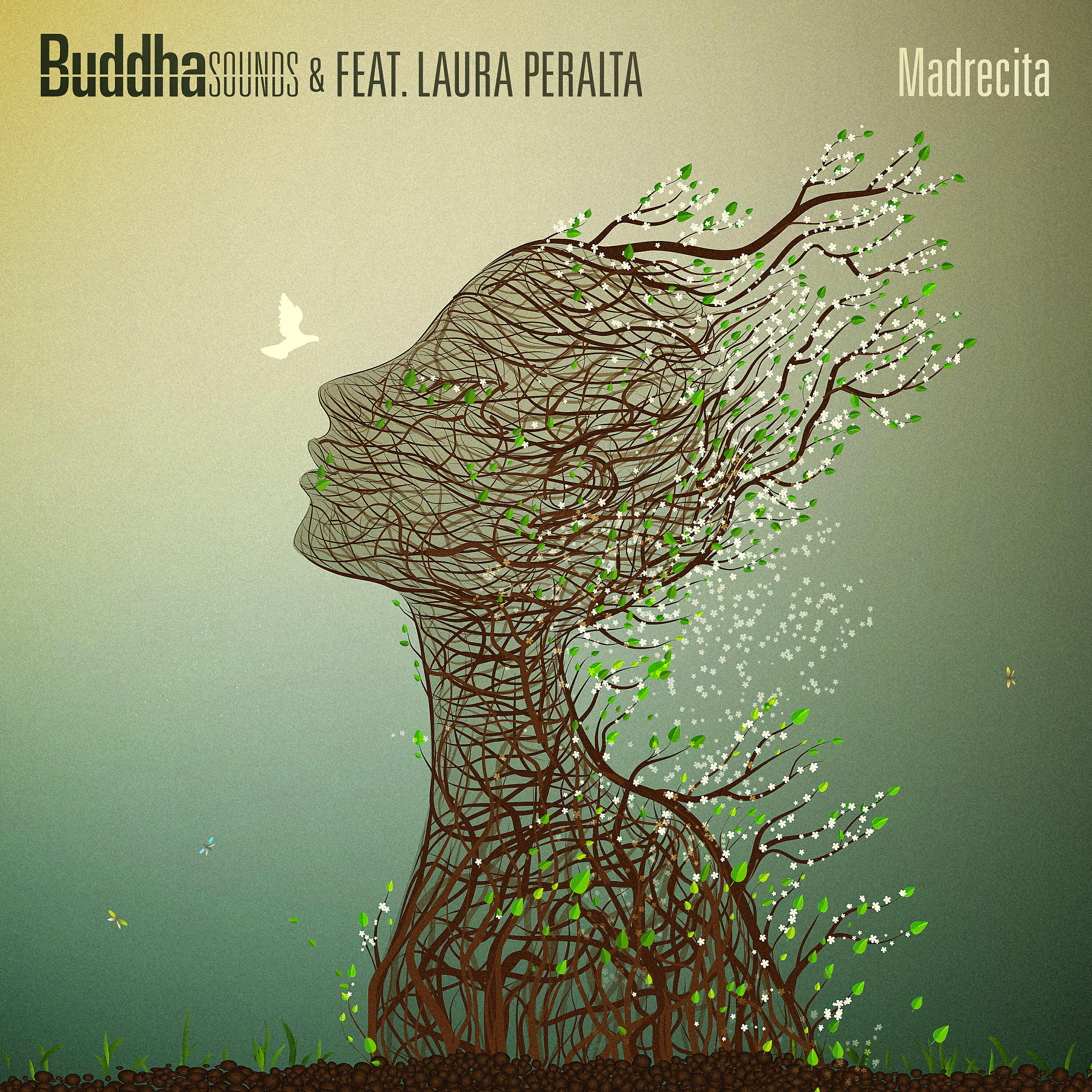 Релиз Madrecita