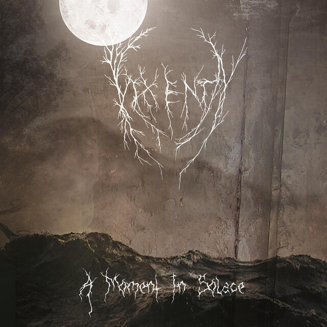 Релиз A Moment in Solace