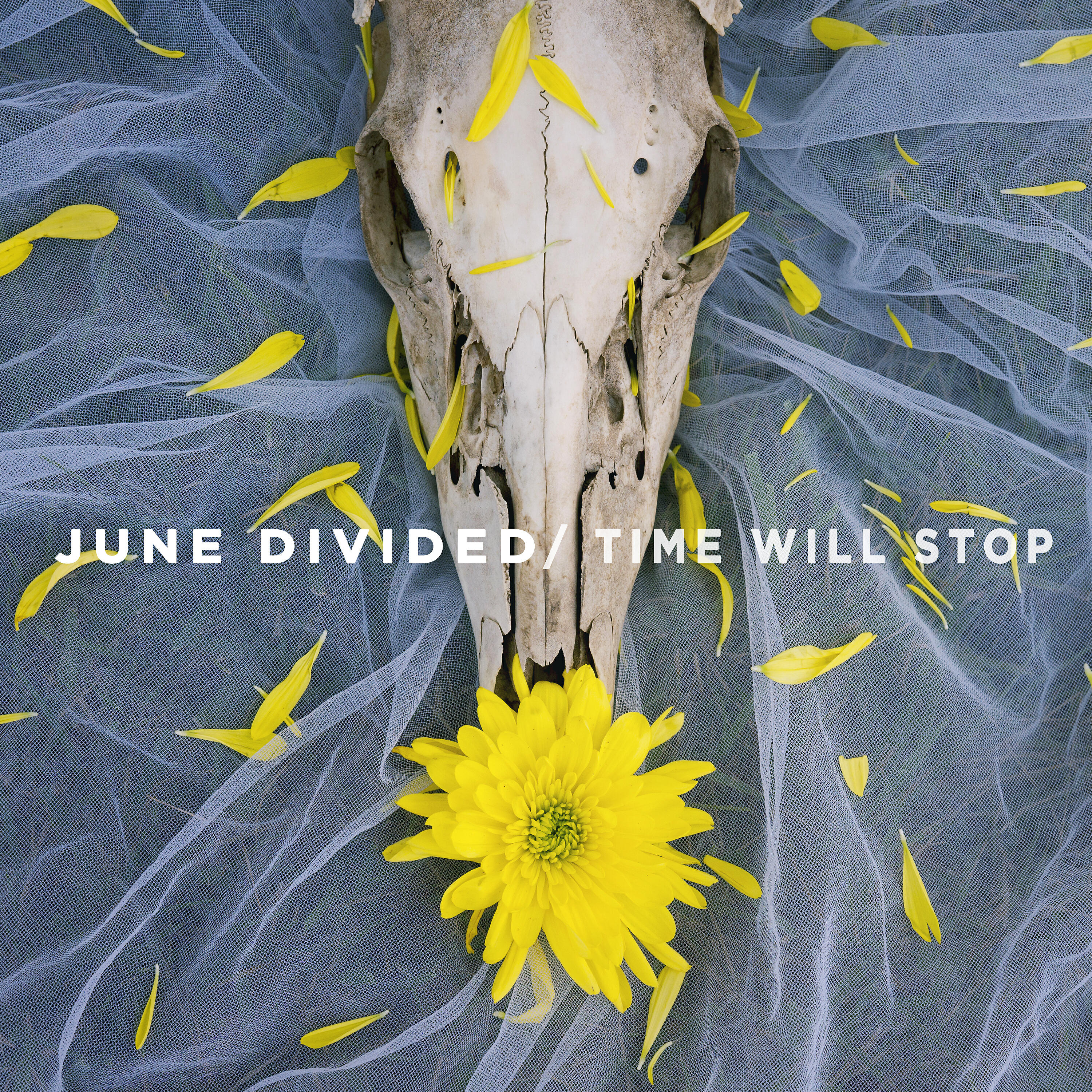 Релиз Time Will Stop