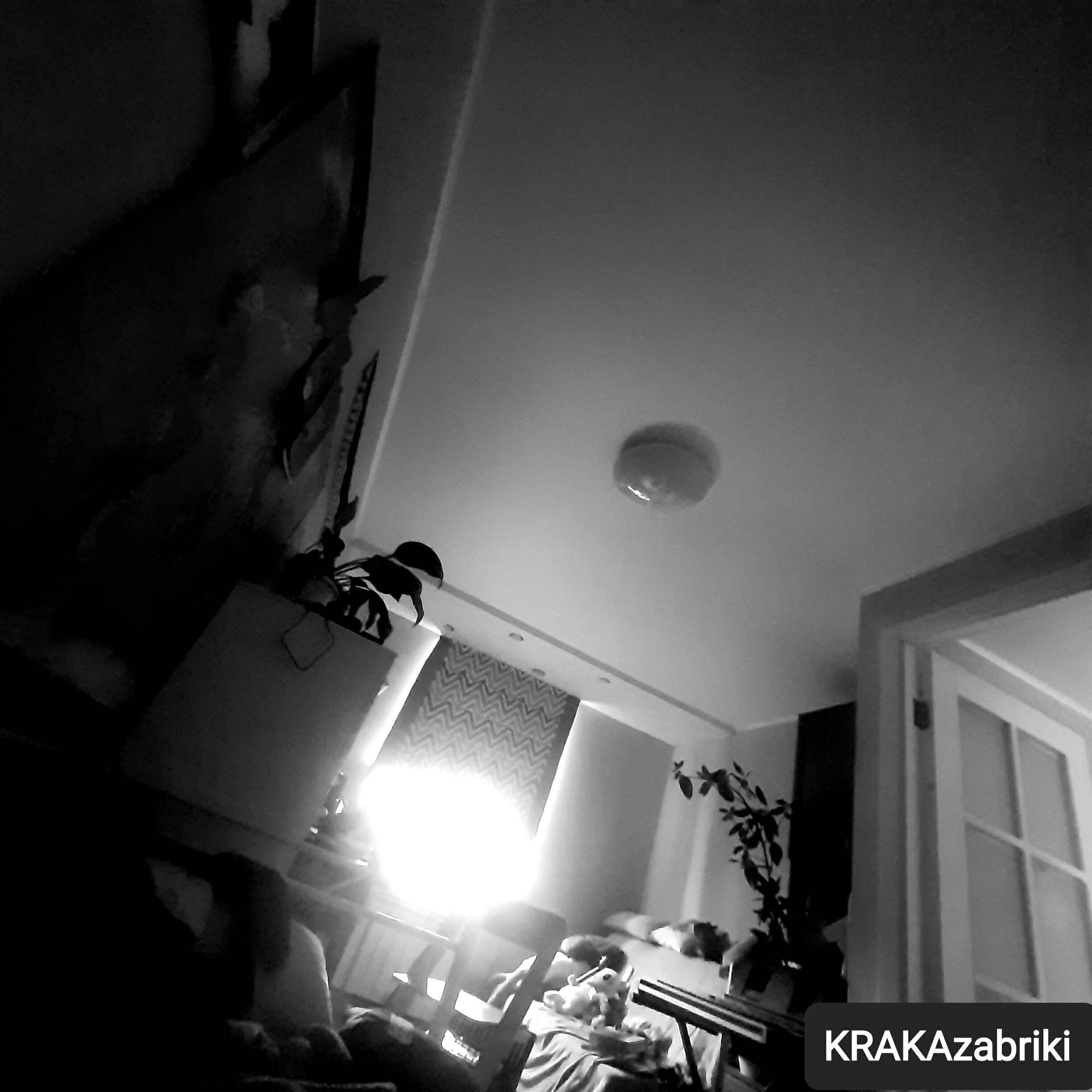 Релиз ЖИРЫ ВСЕЛЕННОЙ