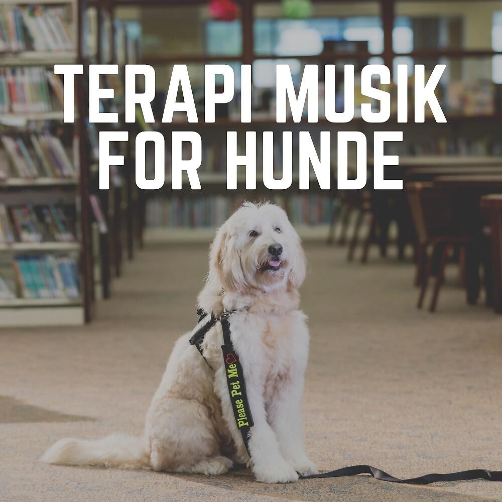 Релиз Terapi Musik for Hunde