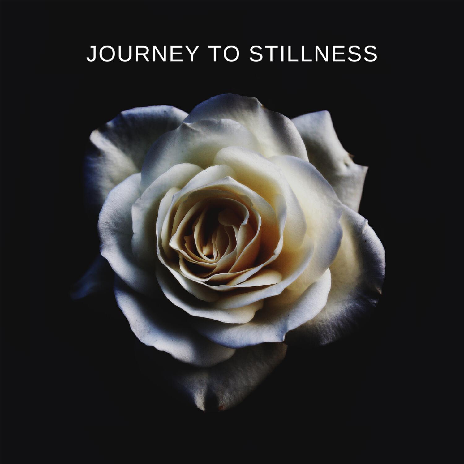 Релиз Journey To Stillness