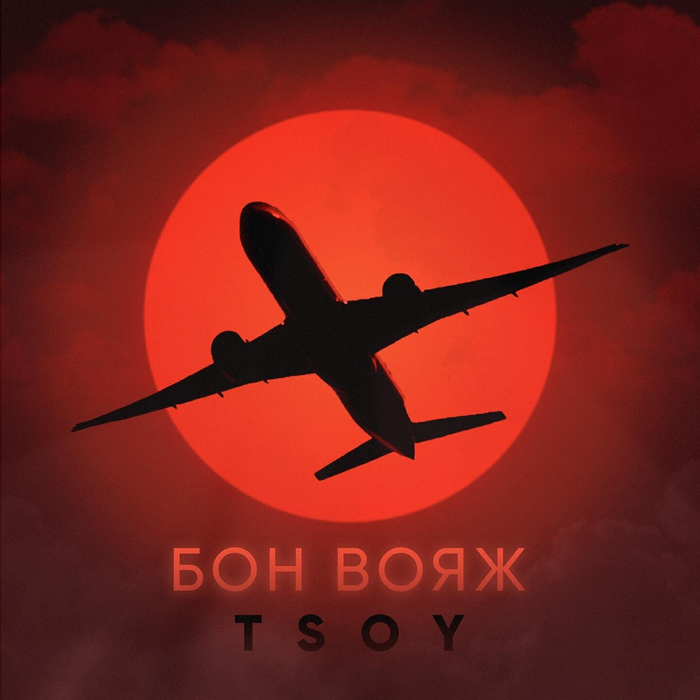 Постер альбома Бон вояж