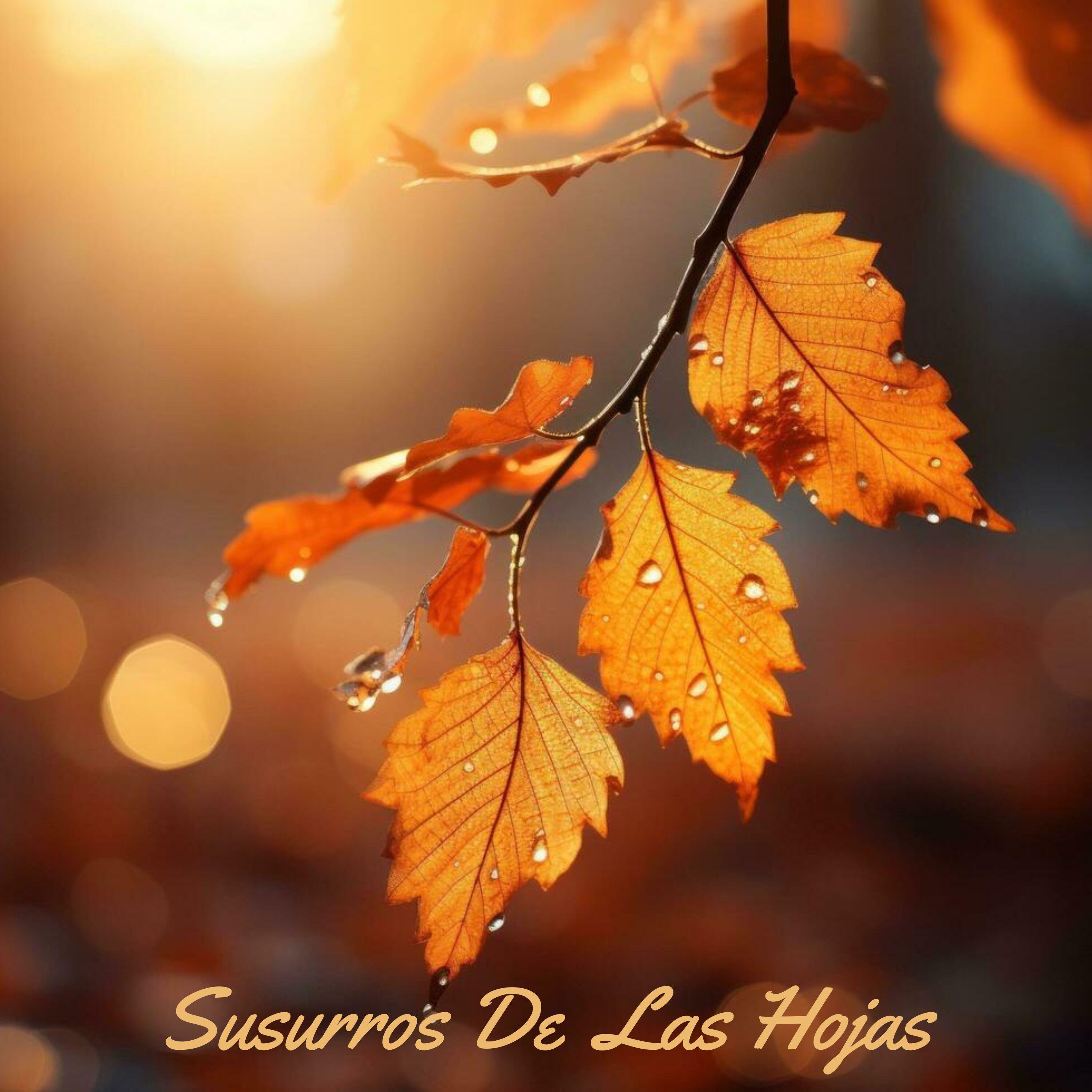 Релиз Sueño Tranquilo