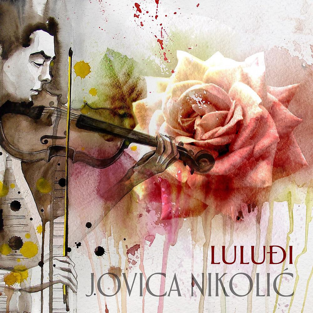 Постер альбома Luluđi
