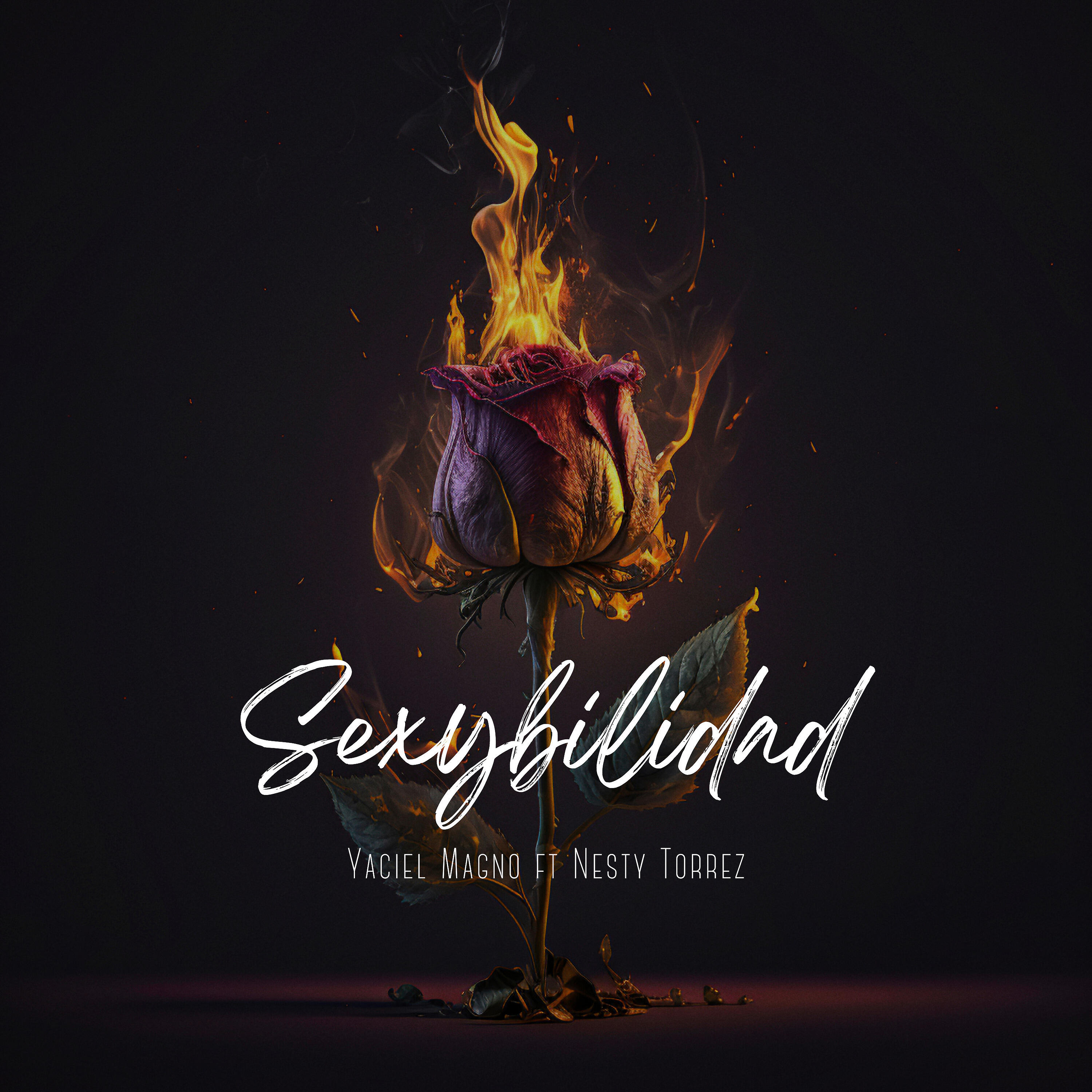 Релиз Sexybilidad