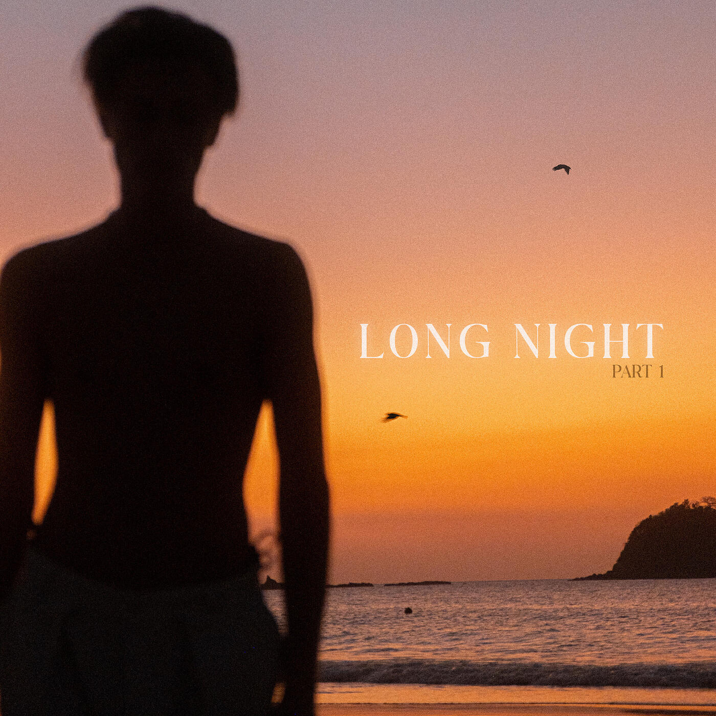 Релиз LONG NIGHT, Pt.1