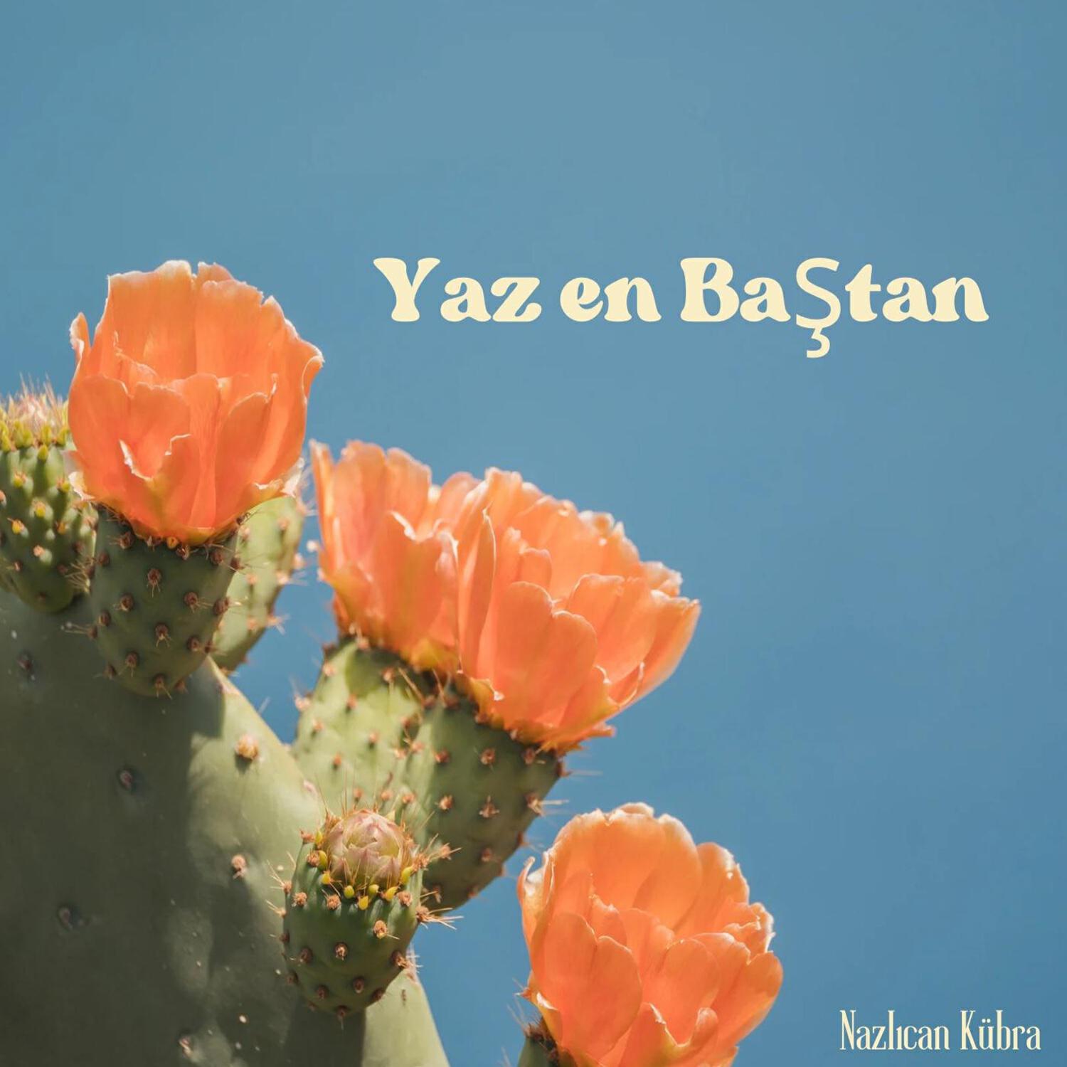Релиз Yaz En Baştan Kaderimi