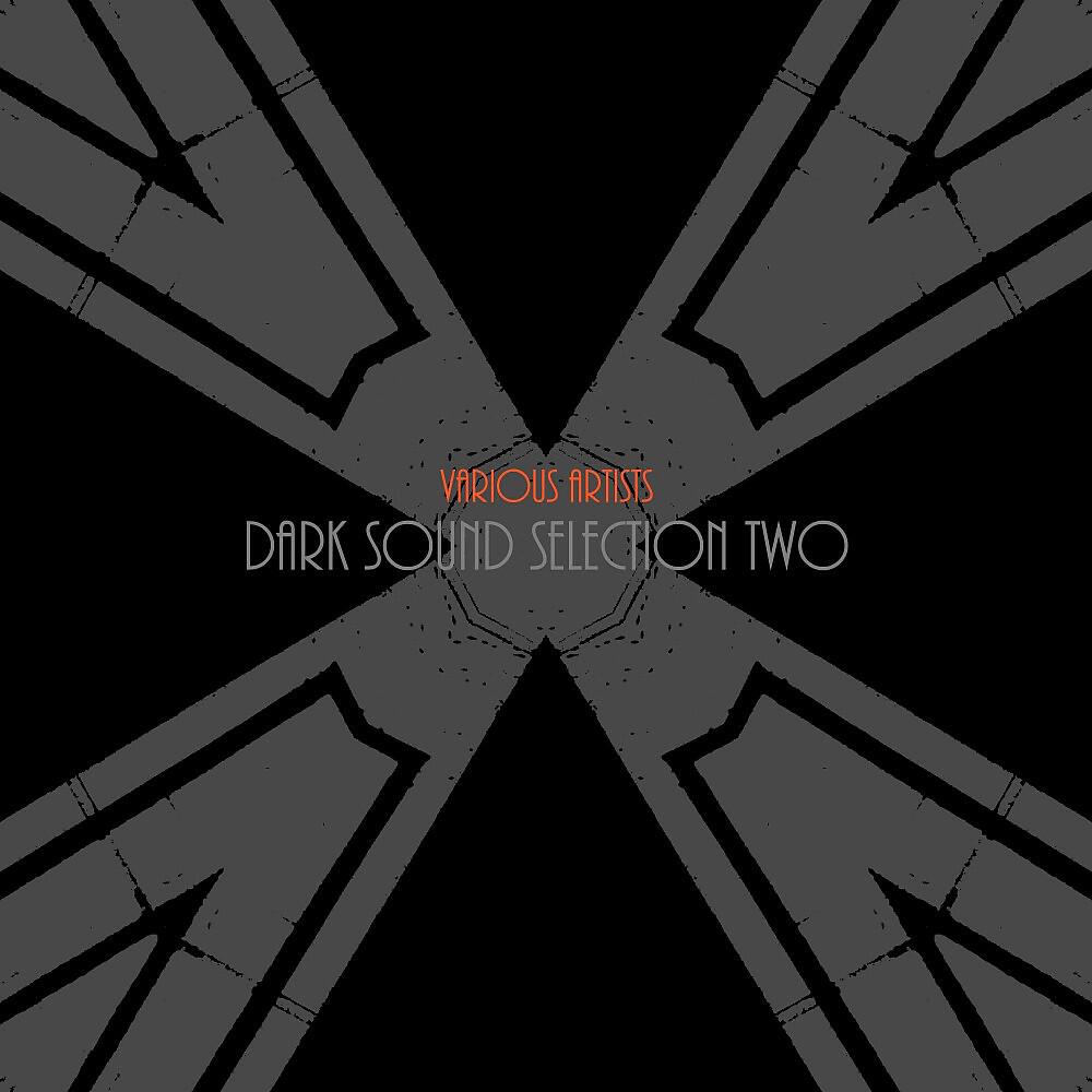 Релиз Dark Sound Selection Two