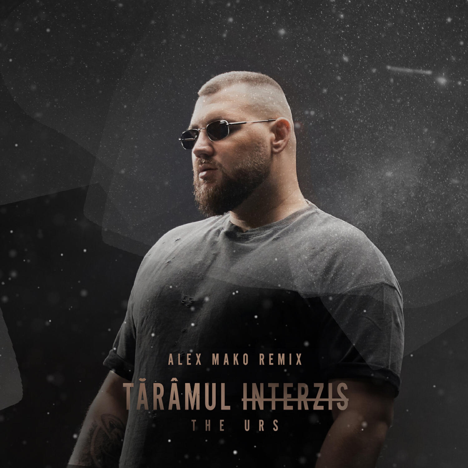 Релиз Taramul Interzis (Alex Mako Remix)