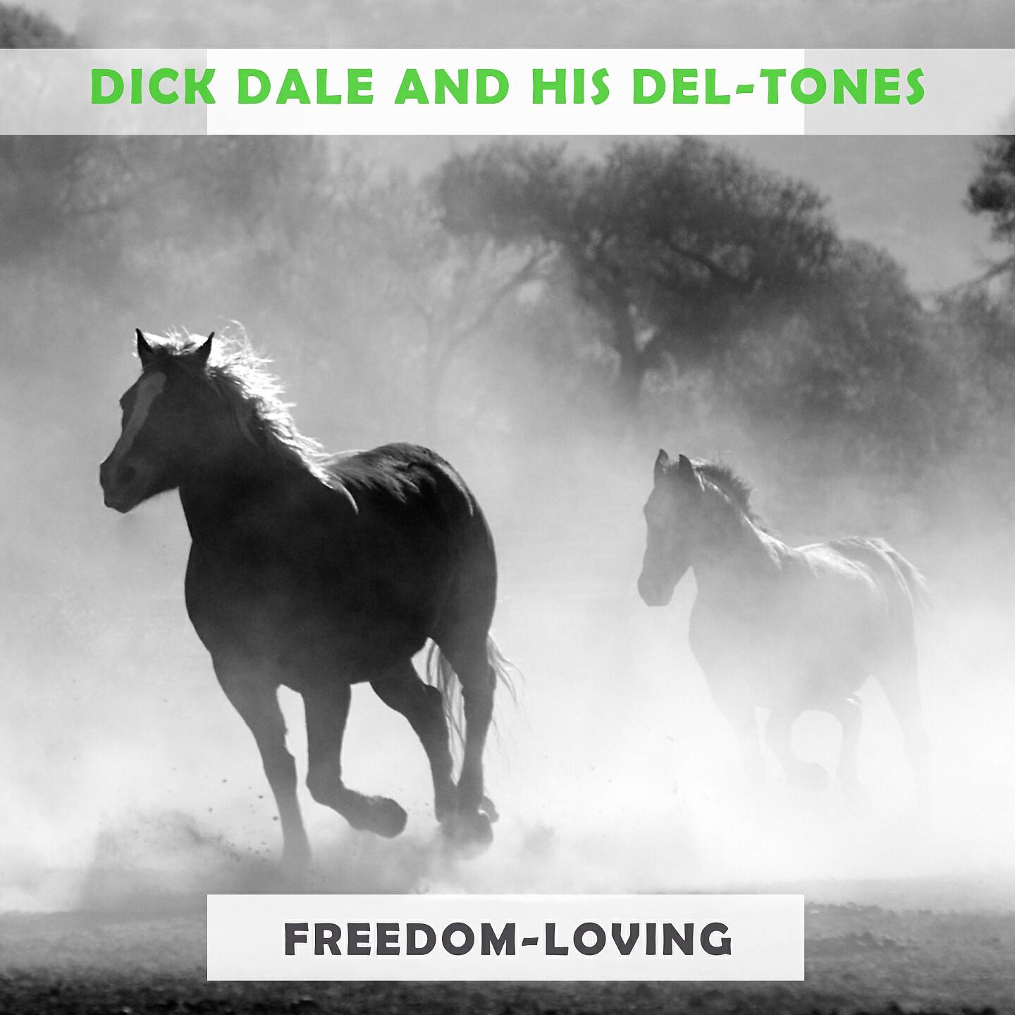 Релиз Freedom Loving