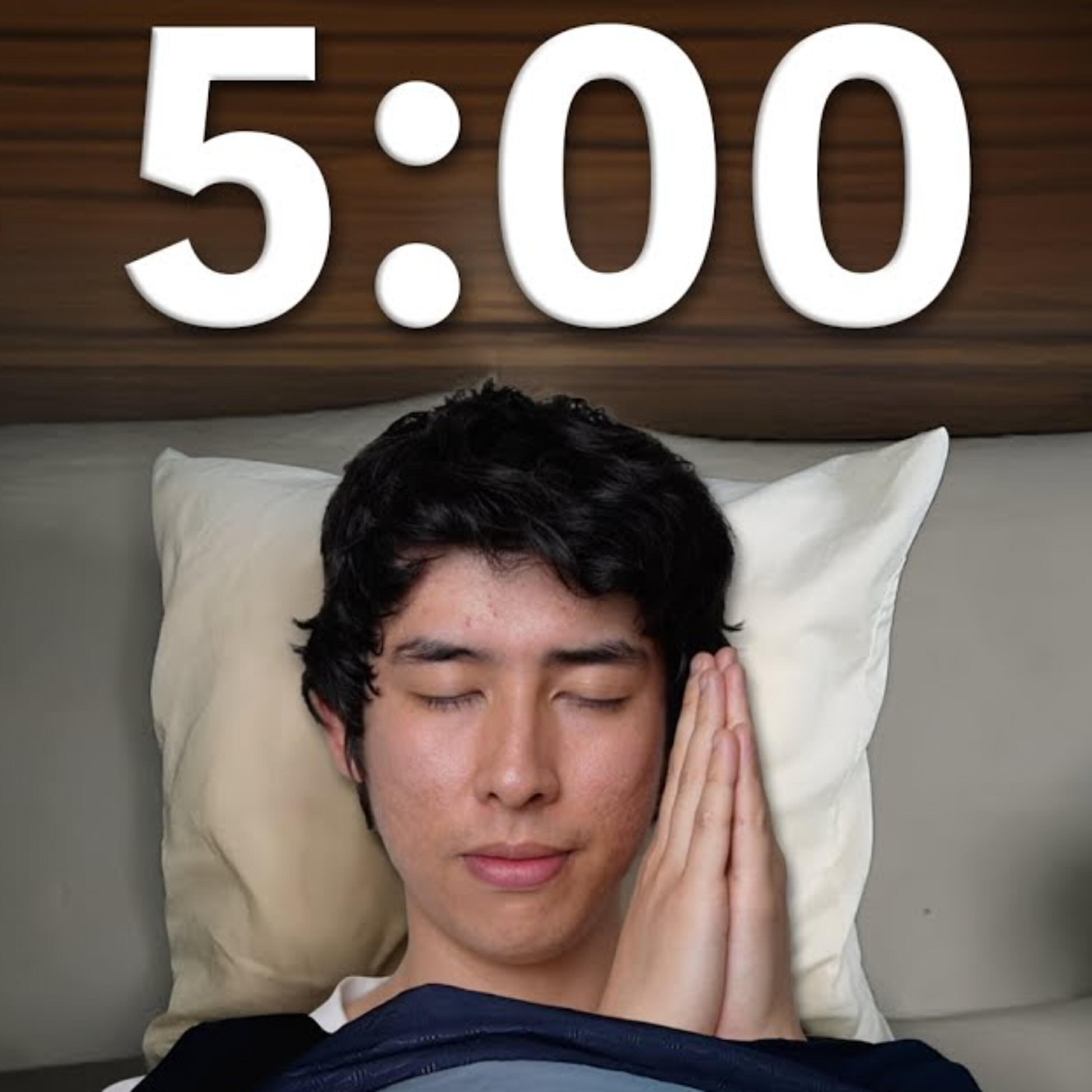Релиз You Will Sleep in 5 Minutes to This ASMR Session