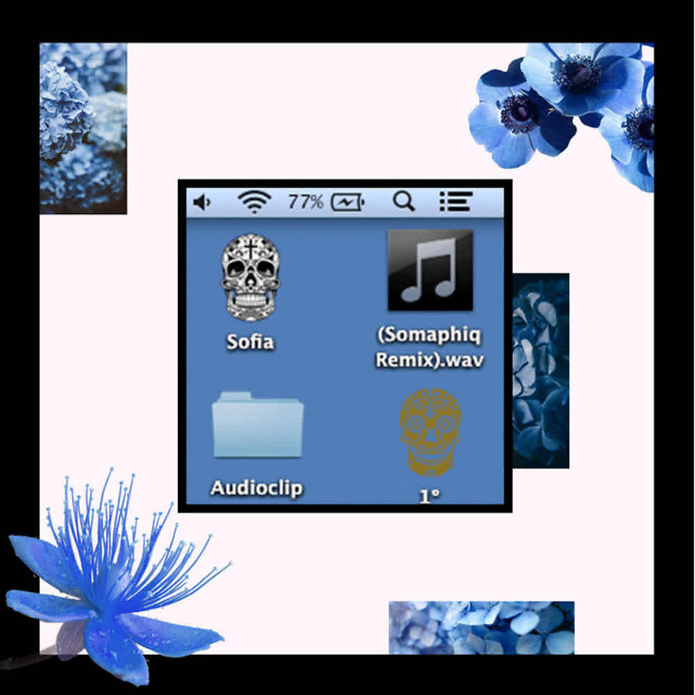 Релиз Sofia (Remixes)