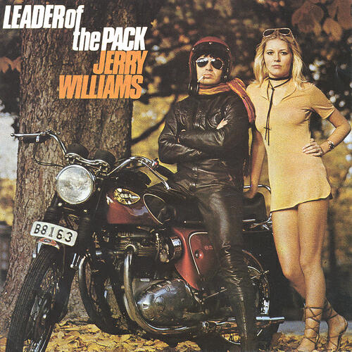 Релиз Leader Of The Pack