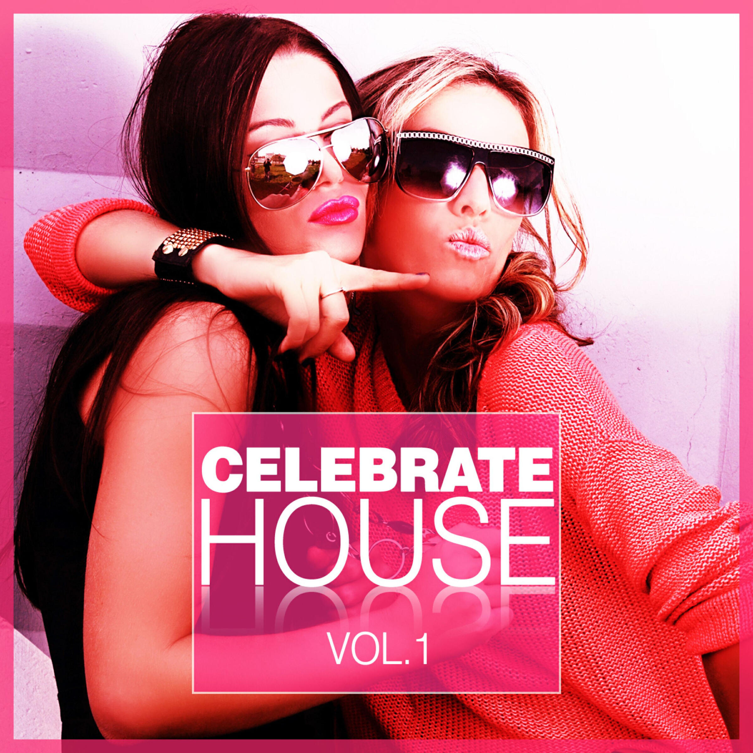 Релиз Celebrate House, Vol. 1