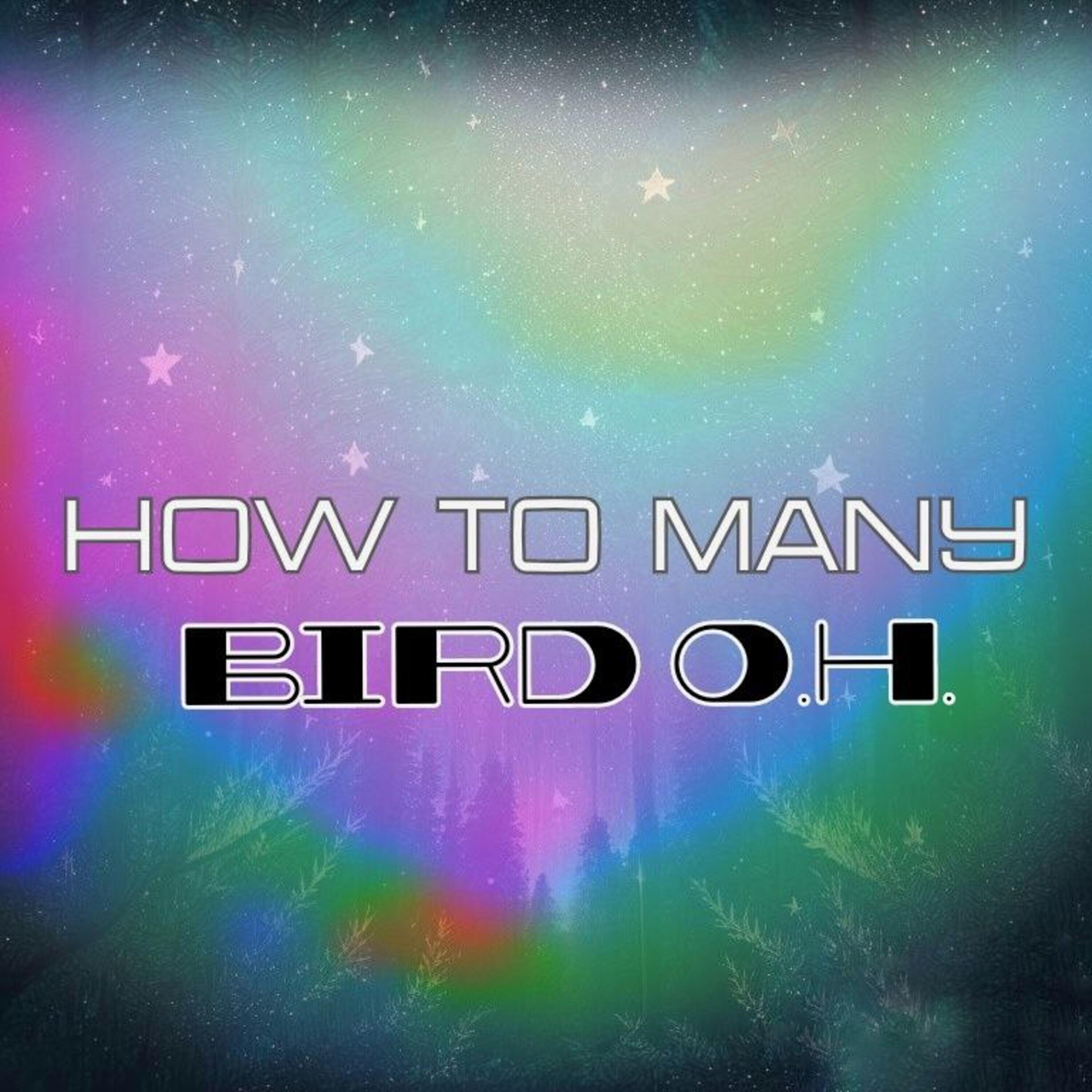 Релиз How to many