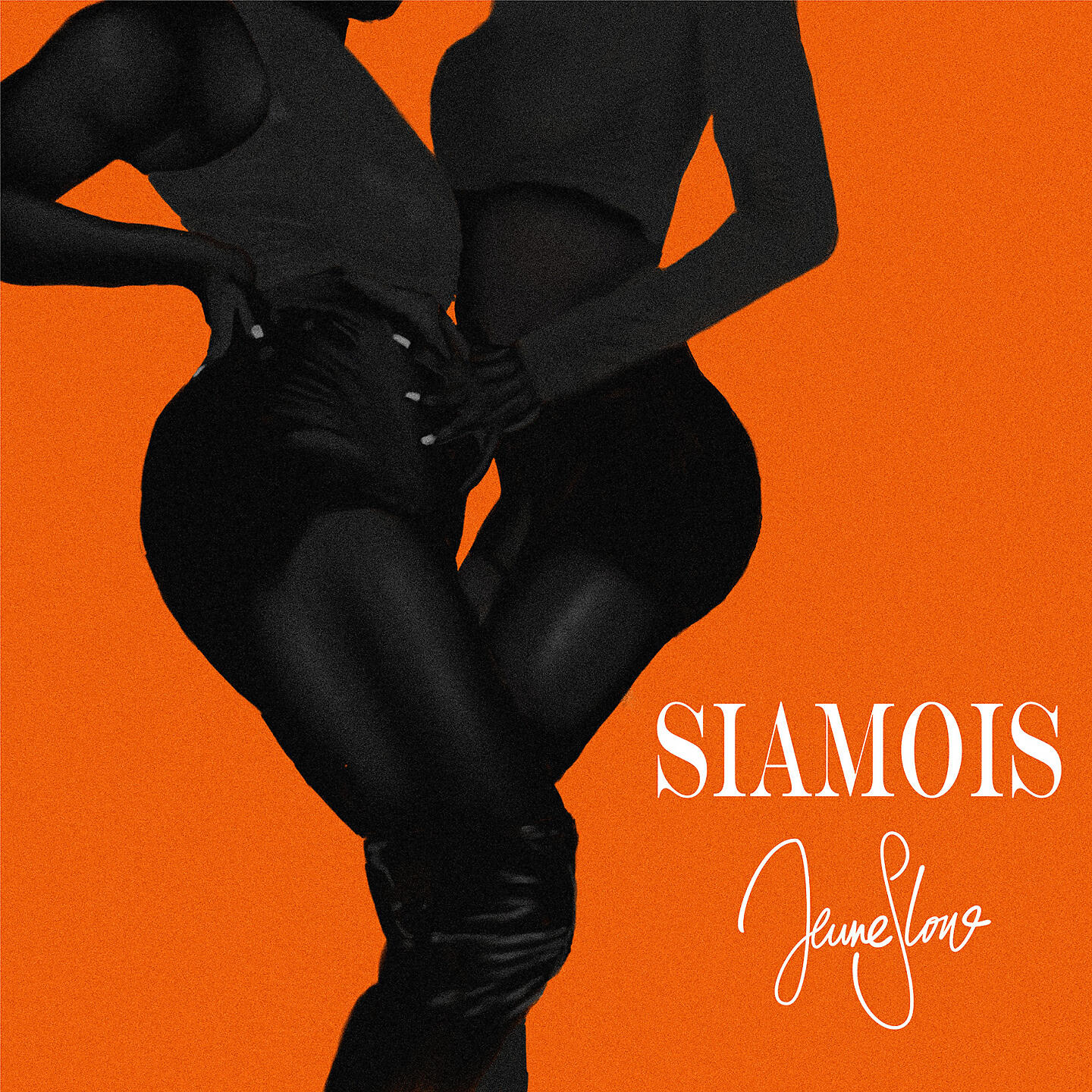 Релиз Siamois