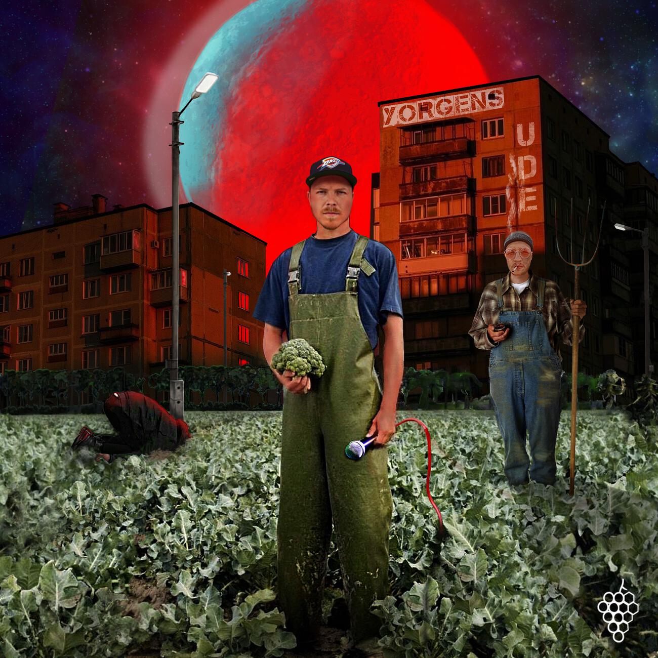 Релиз DARBI