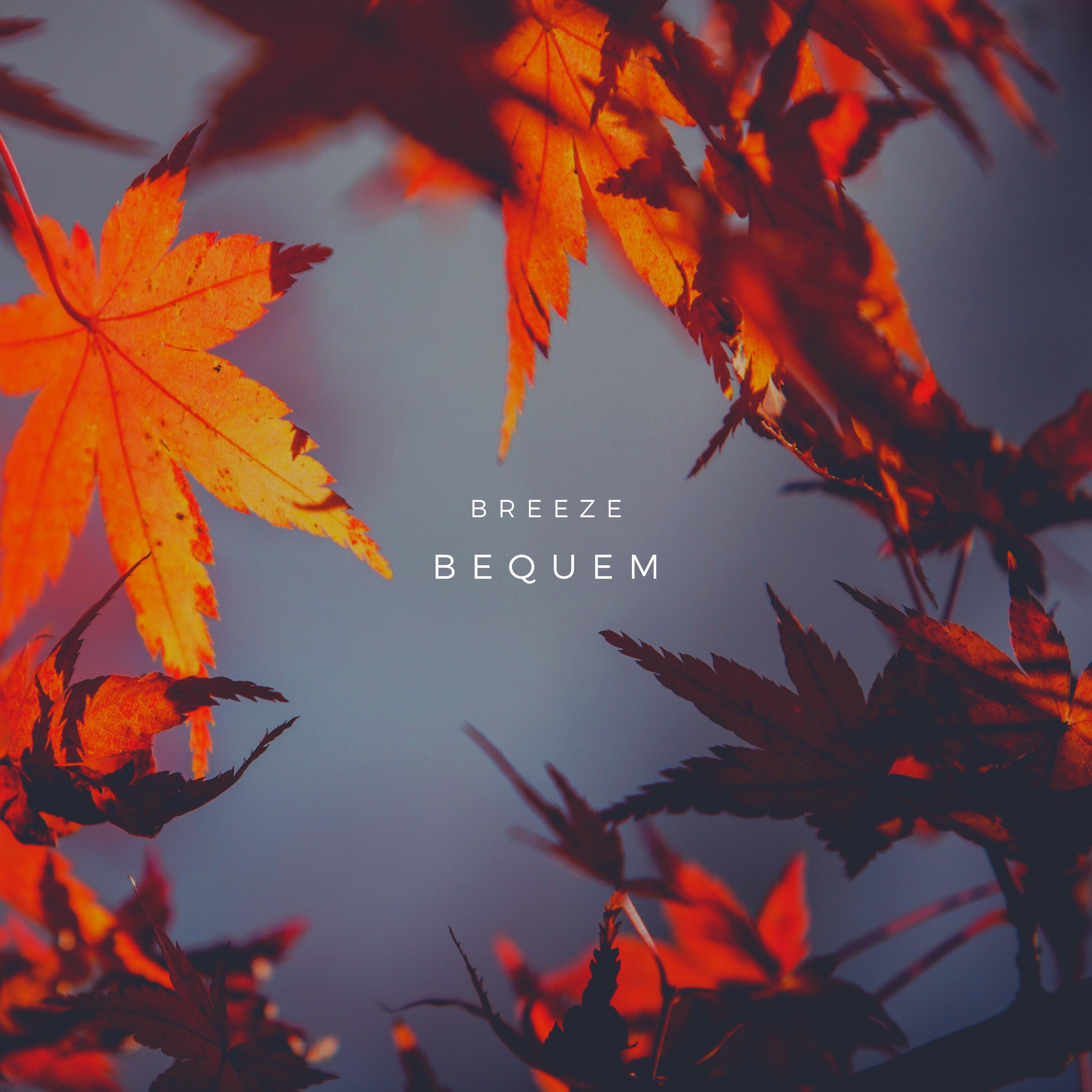 Релиз Breeze