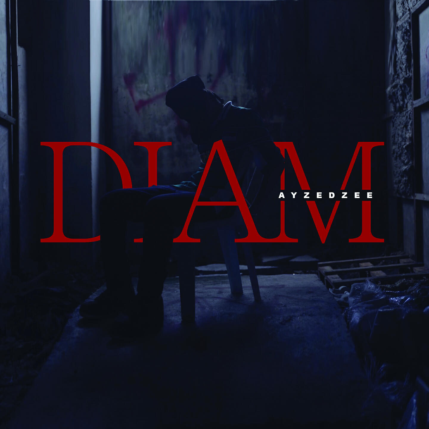 Релиз DIAM