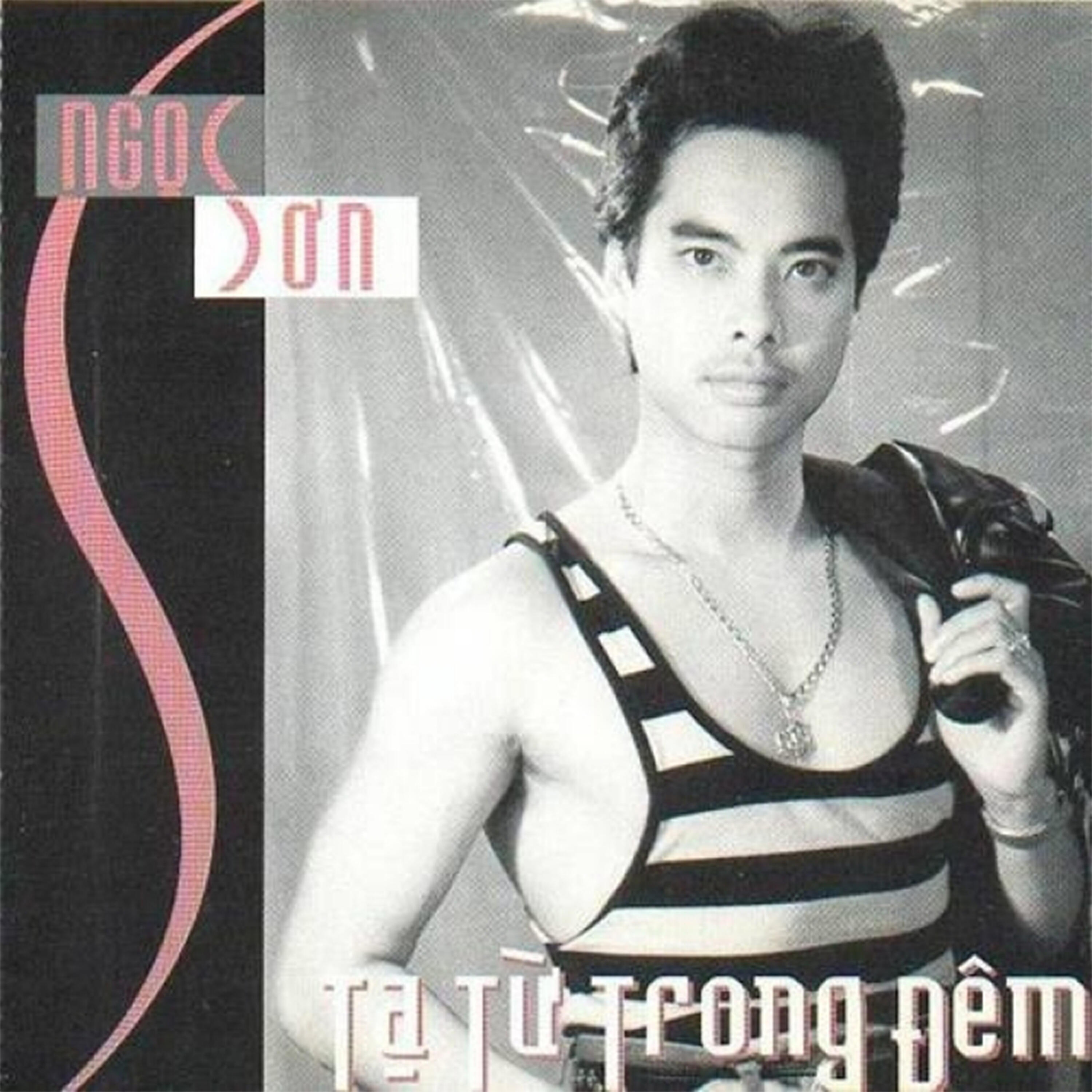 Скачать песню Ngọc Sơn, Hà My - Tàu về quê hương бесплатно в MP3 для Android и iOS