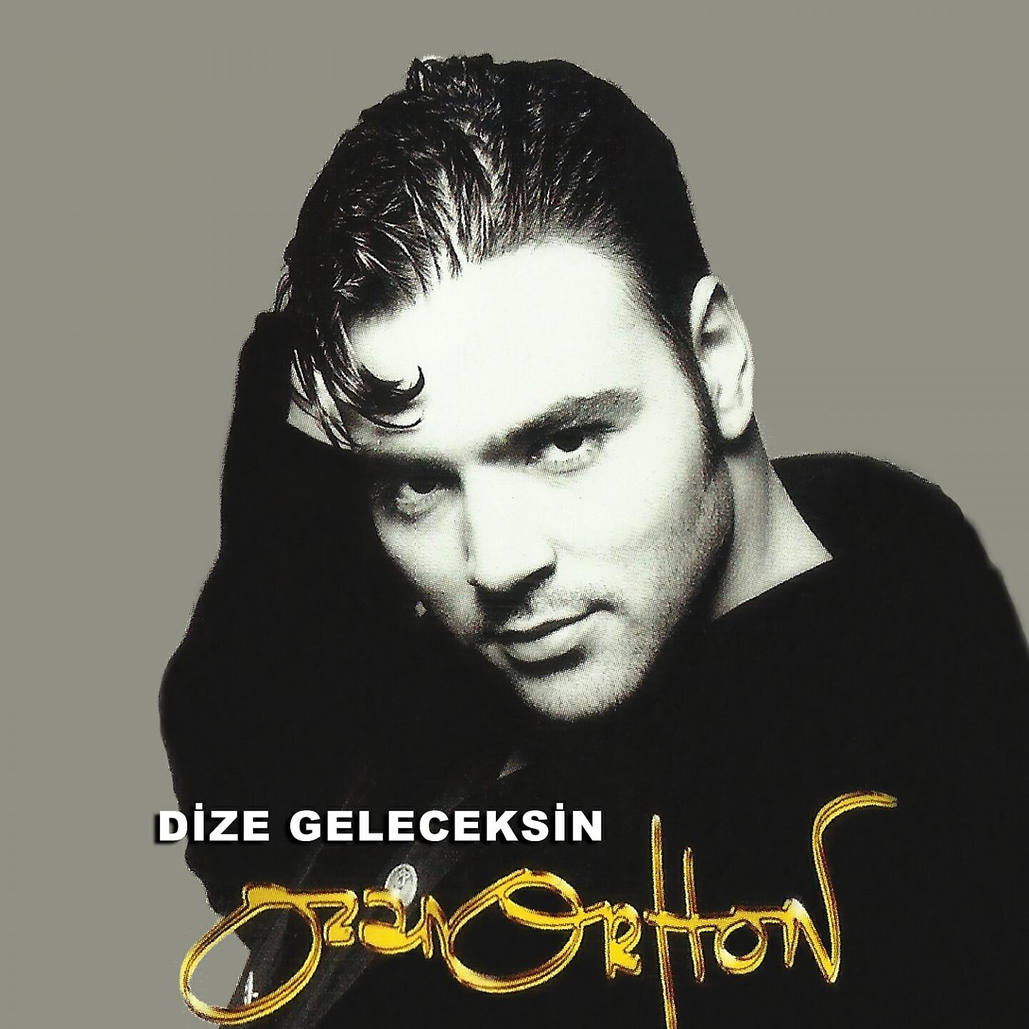 Релиз Dize Geleceksin