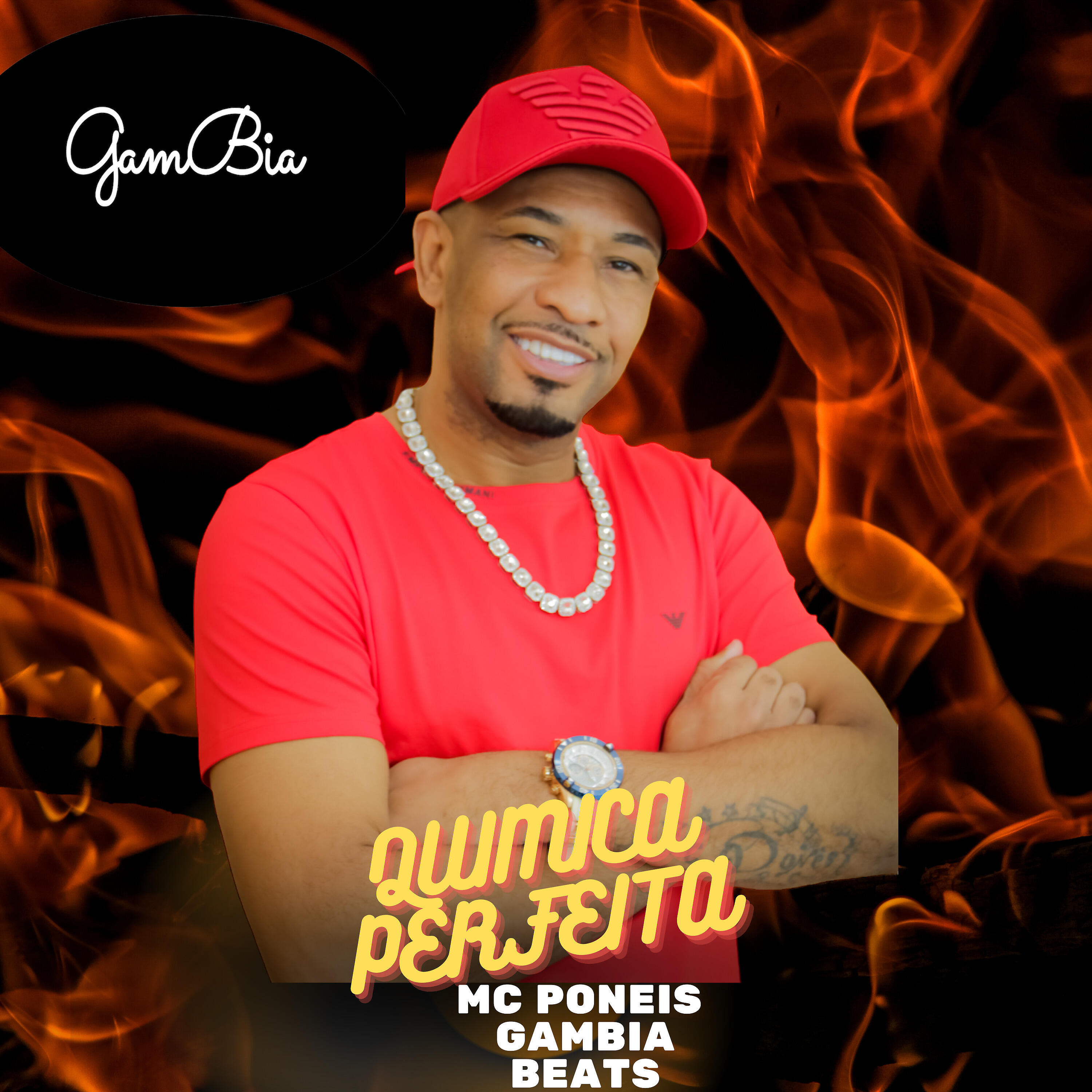 Релиз Quimica Perfeita