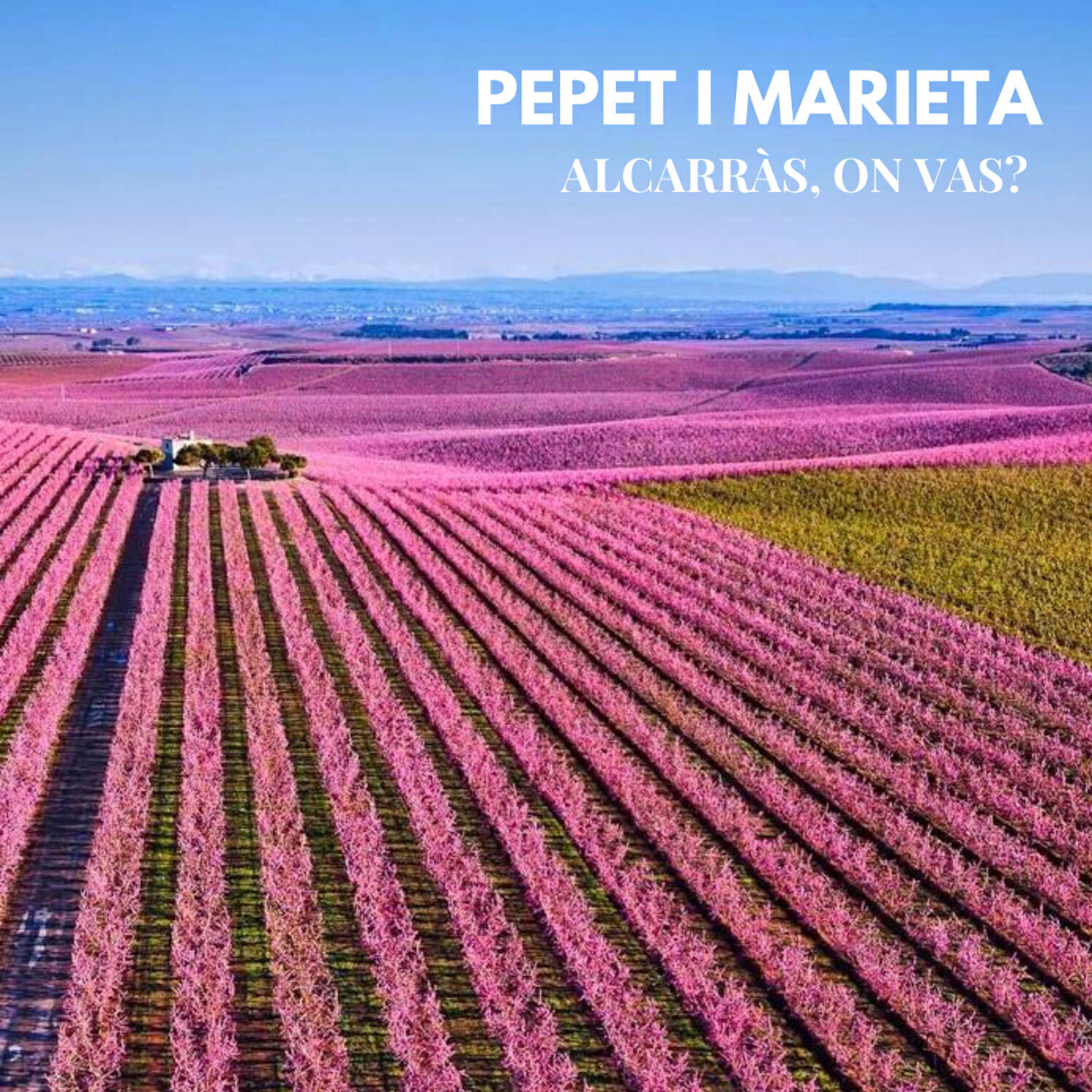 Релиз Alcarràs, on vas?