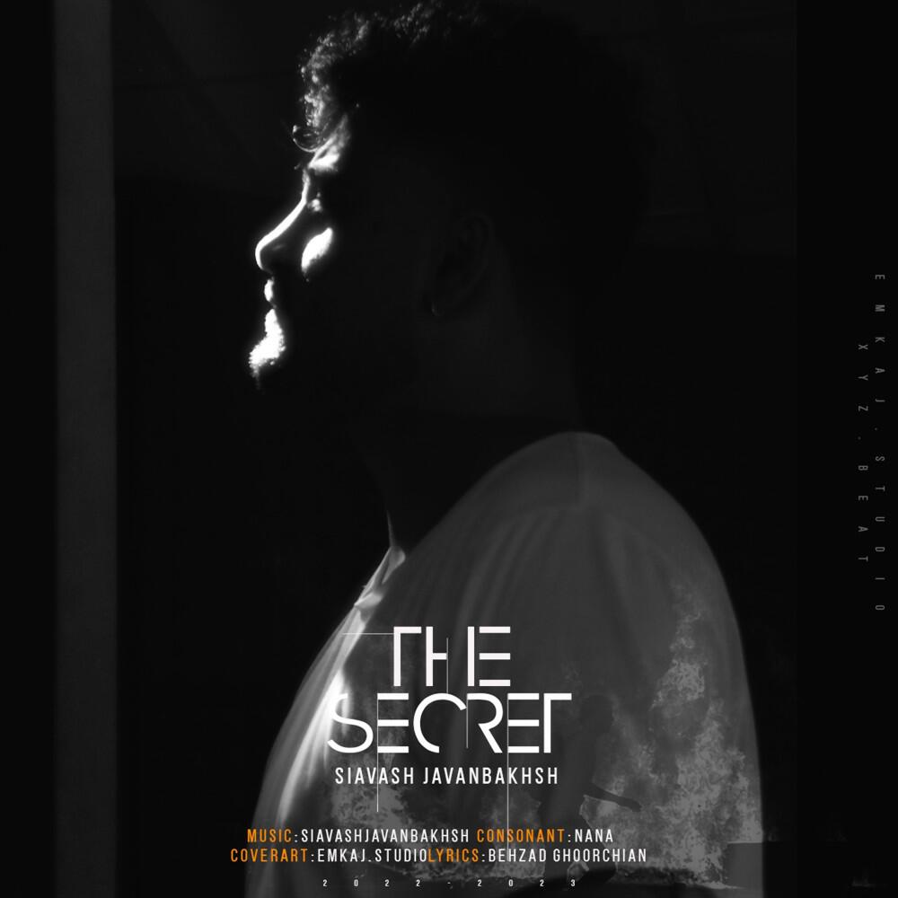 Релиз The Secret