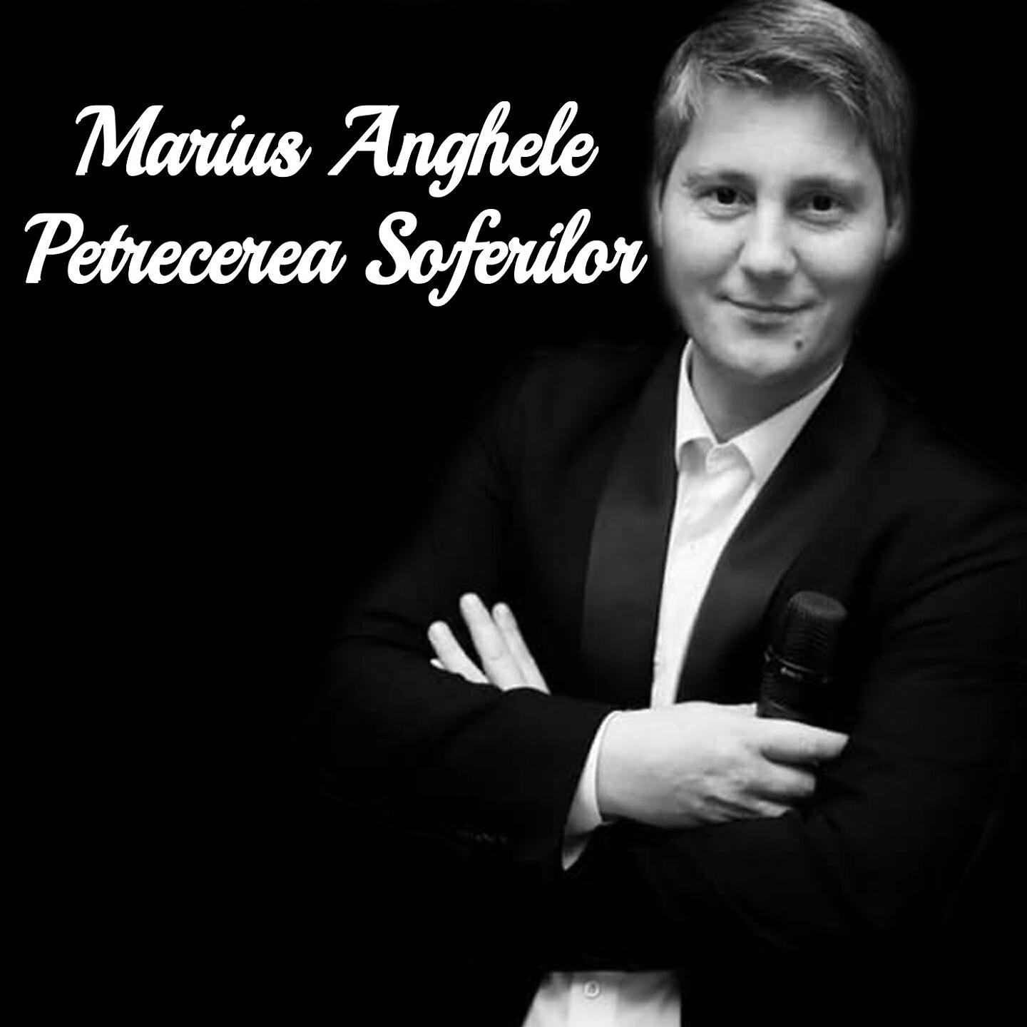 Релиз Petrecerea Soferilor