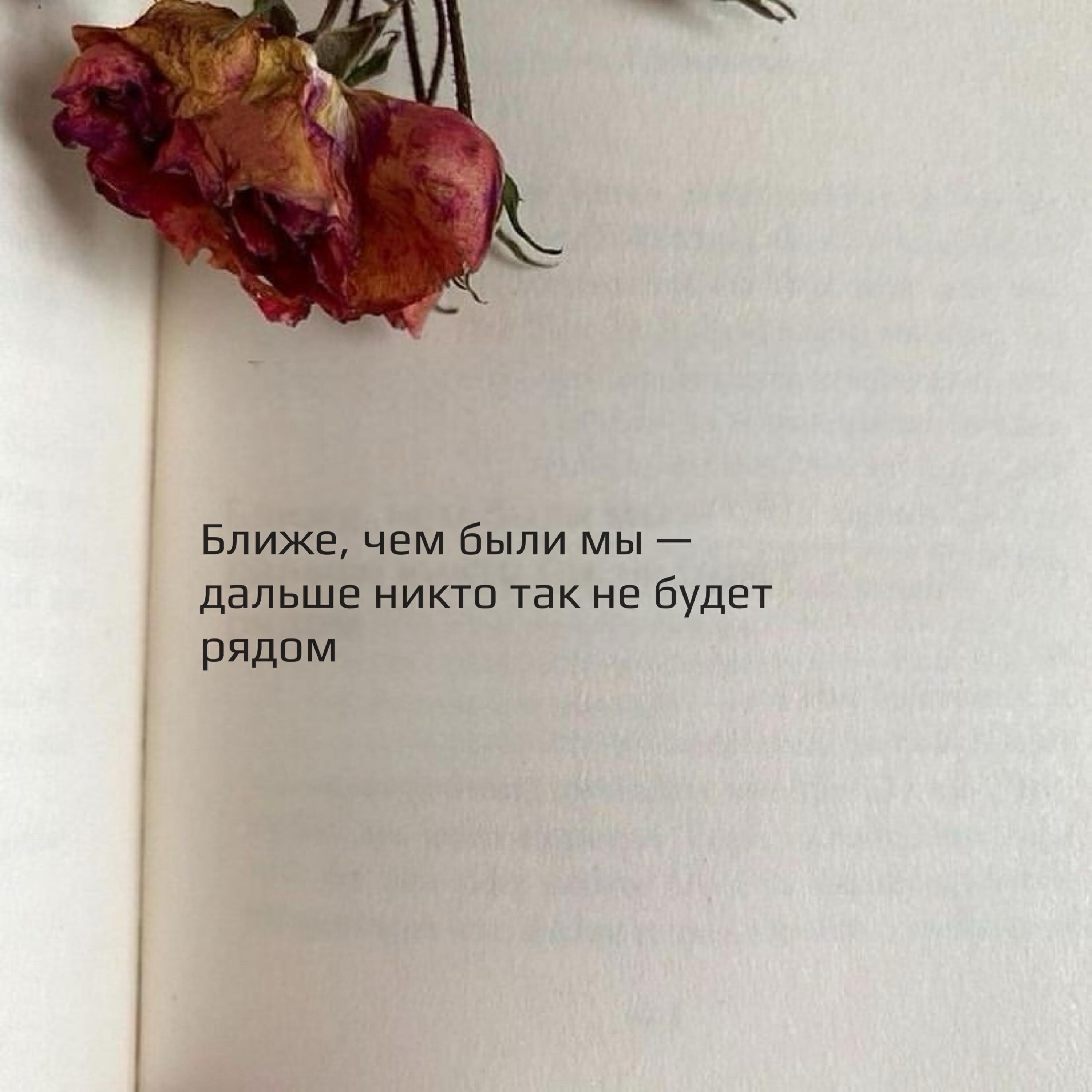 Релиз Две грани