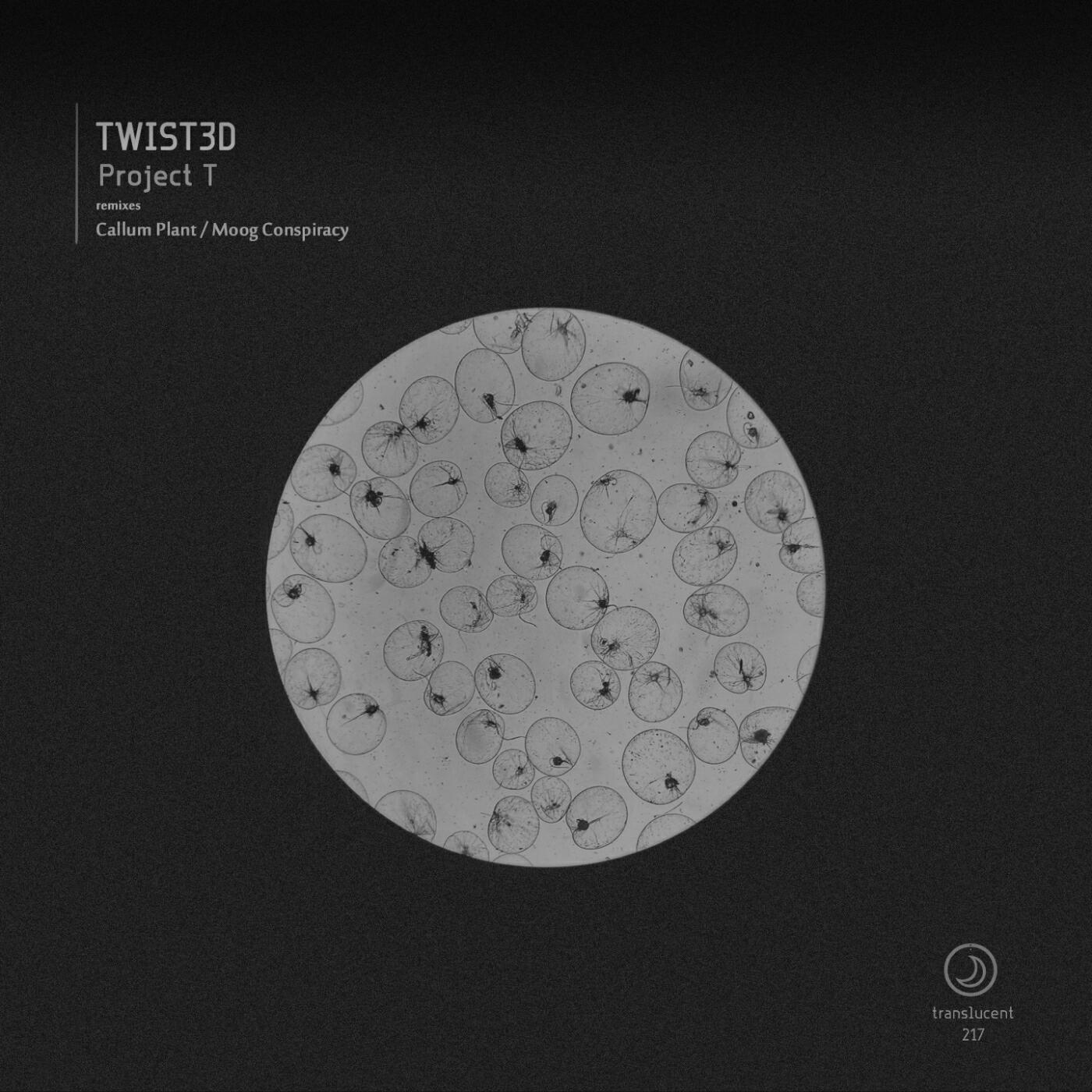 Релиз Project T