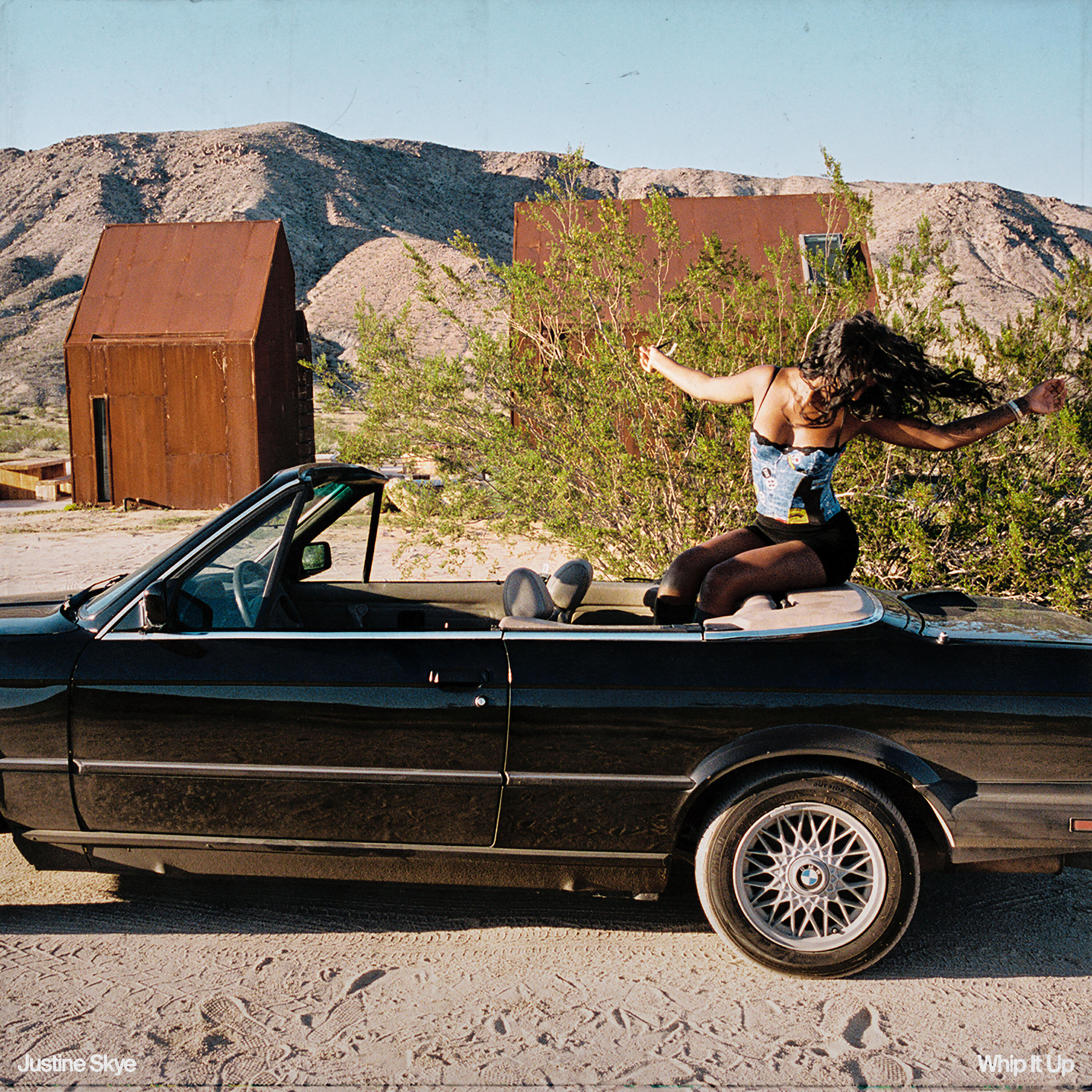 Релиз Whip It Up