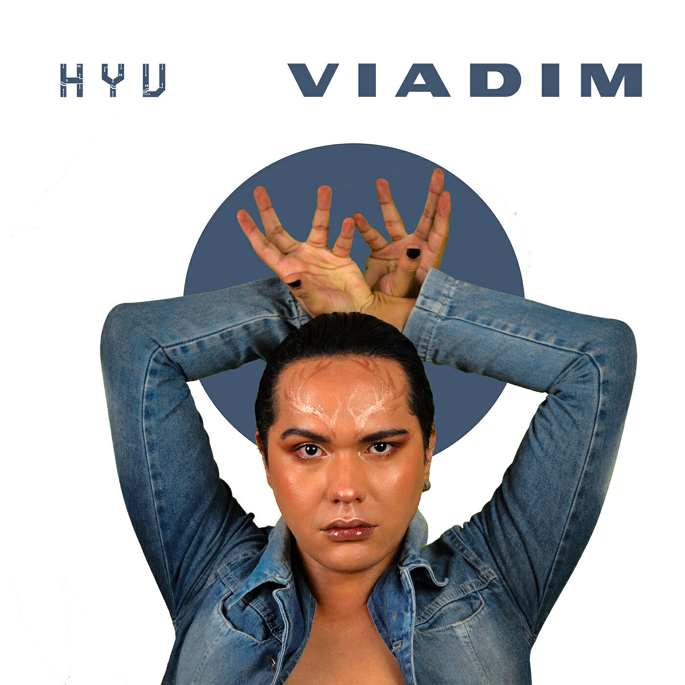 Релиз Viadim